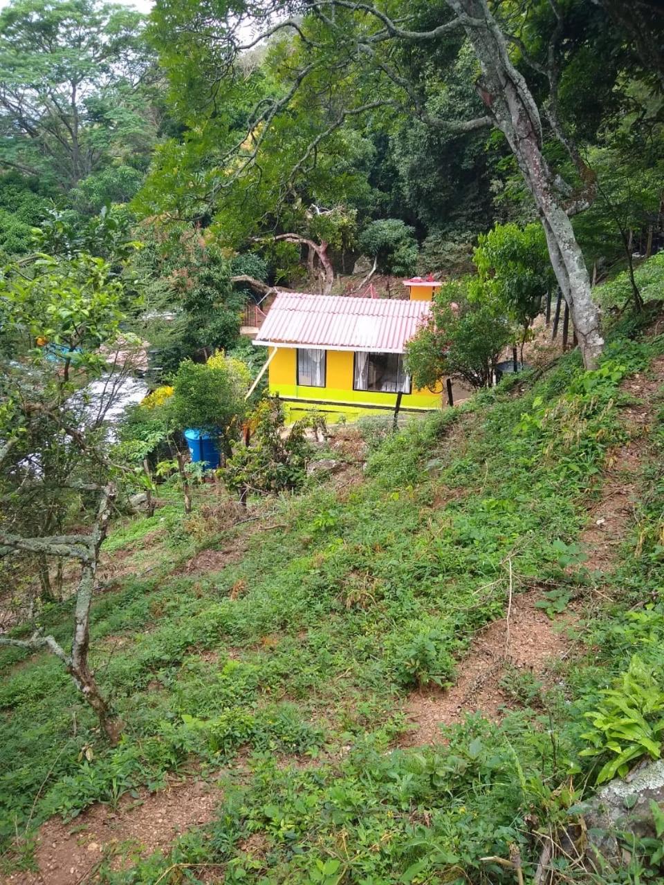 Finca Peñitas