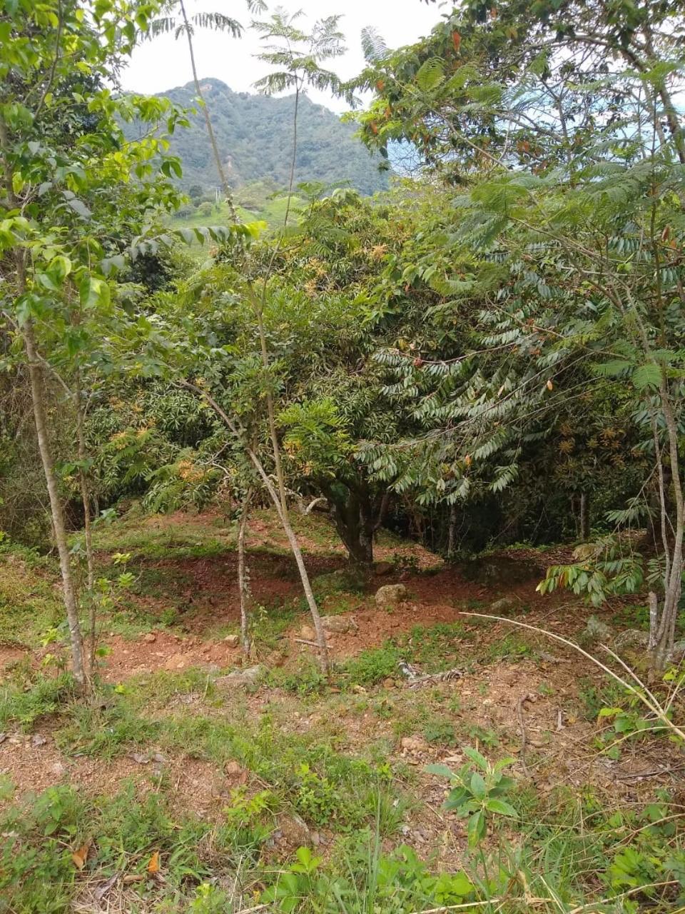 Finca Peñitas