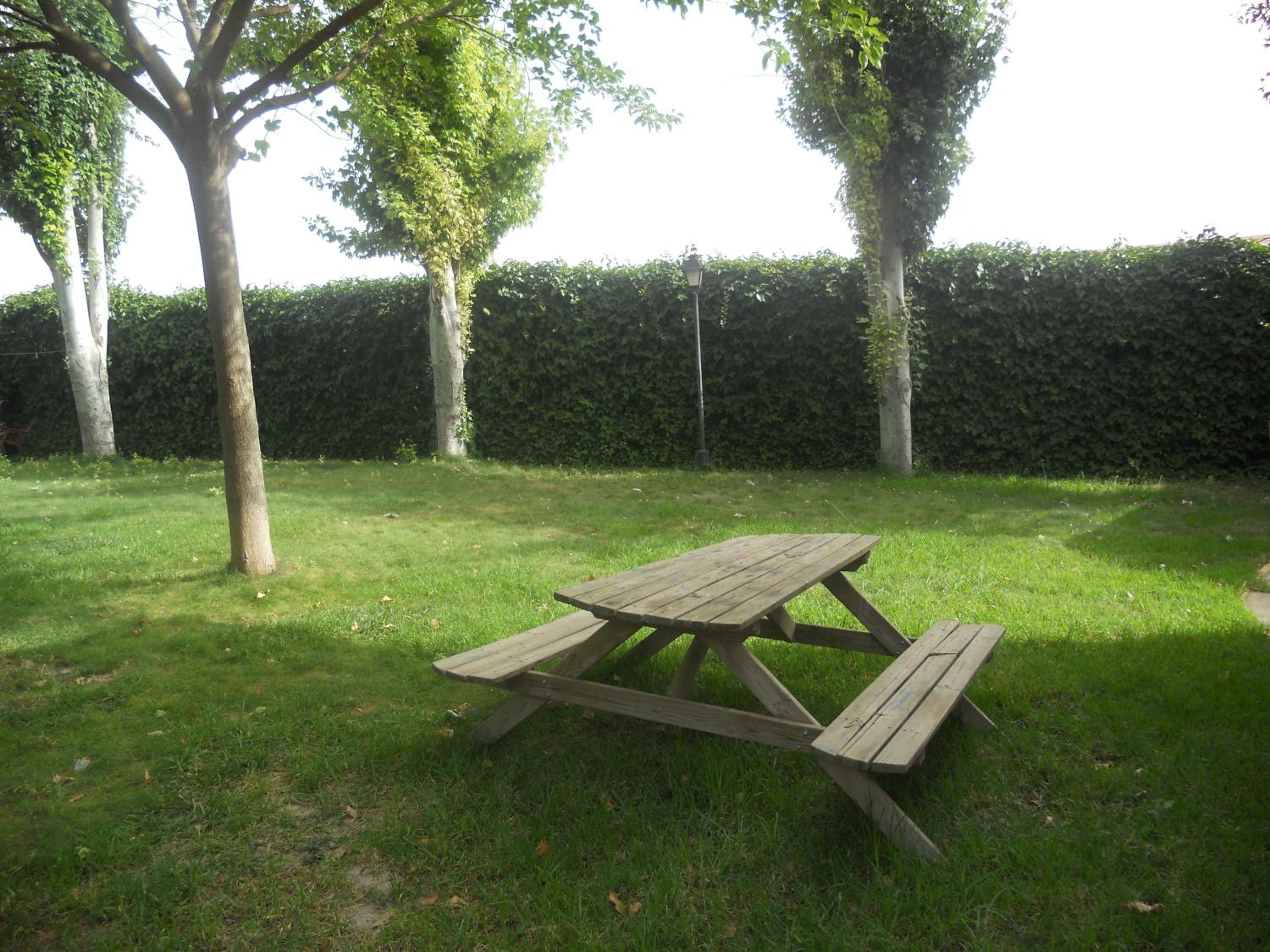 Camping Fuente de Piedra