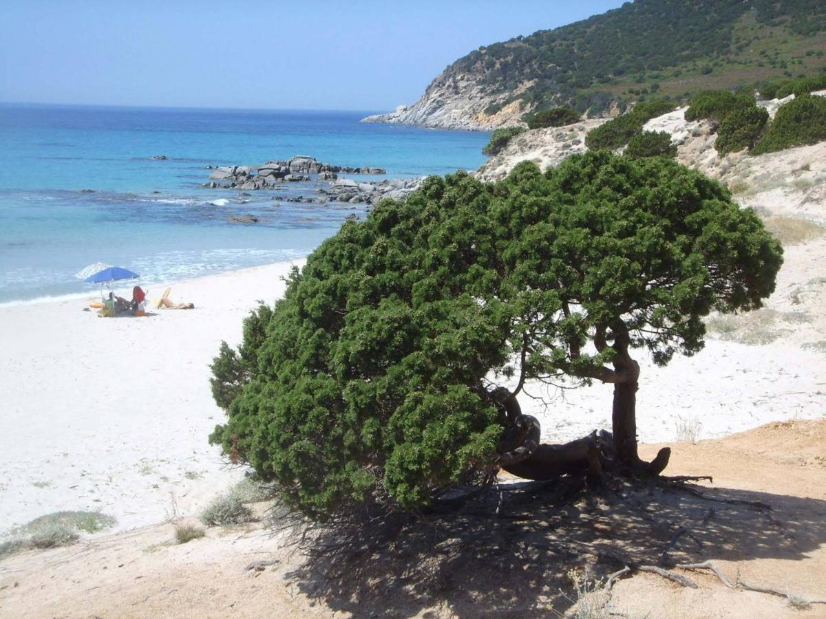 Villetta Luisella photo 5