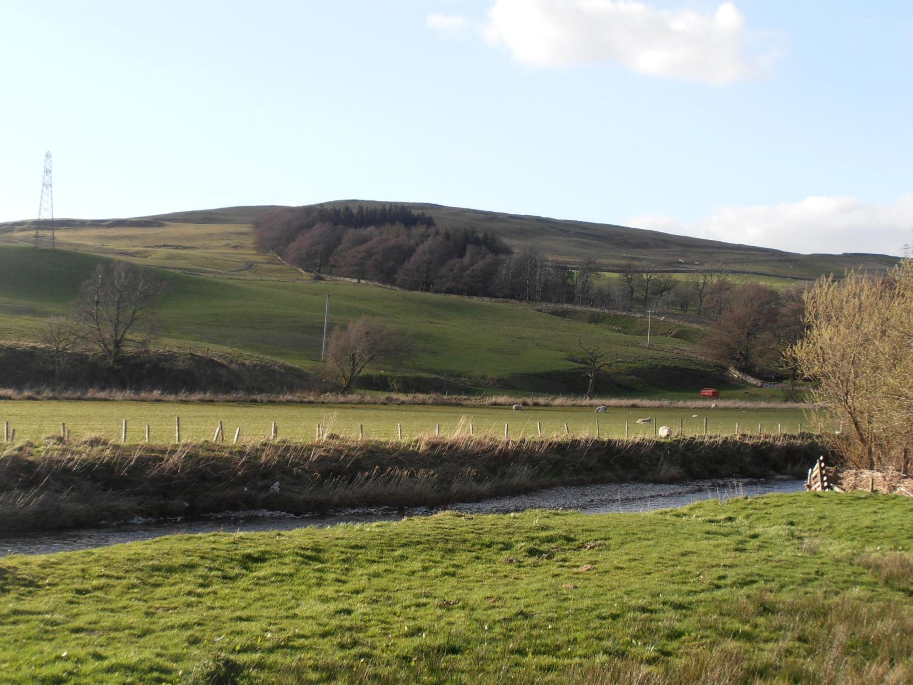 Colterscleuch House B&B view 5