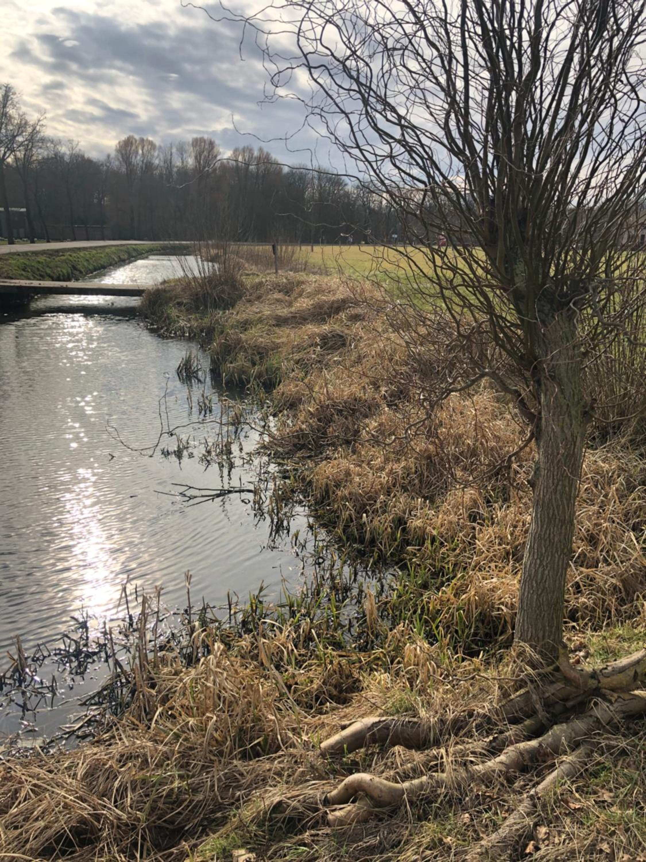 Landgoed het Heuvelbosch view 3