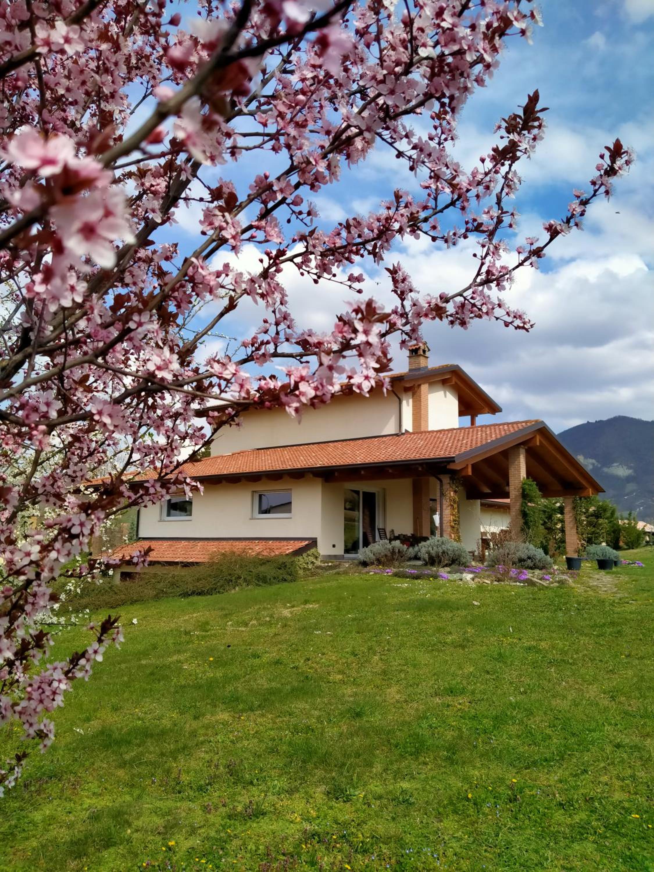 Timo e Rosmarino view 2