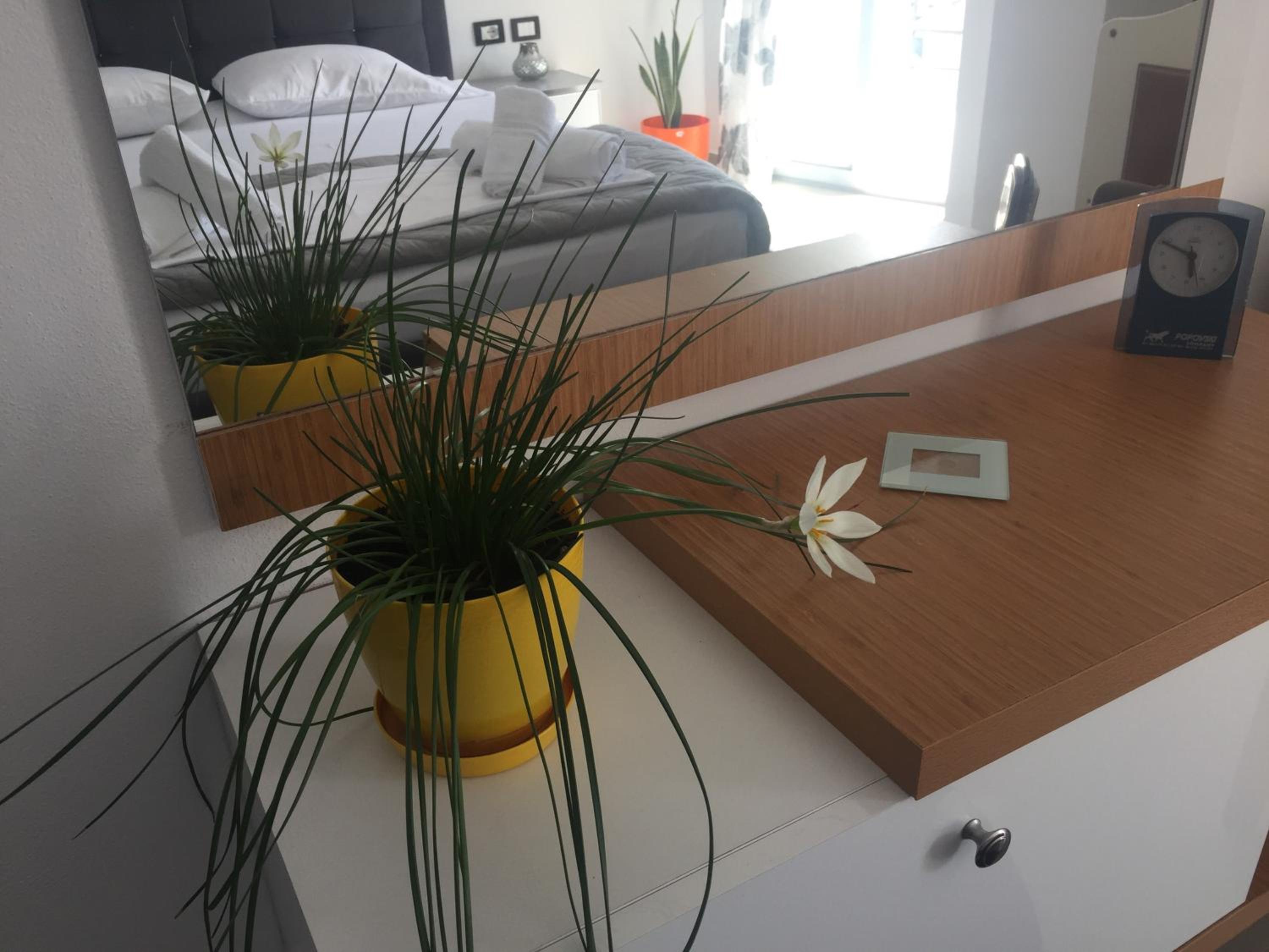 Guest's Apartament