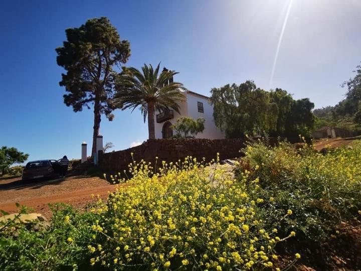Apartamento El Almendro view 5