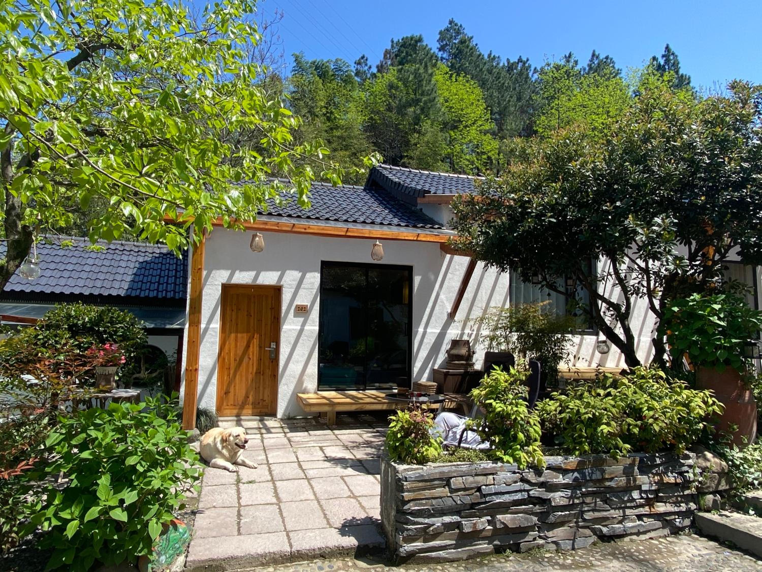 安吉 小森林 Little Forest Anji