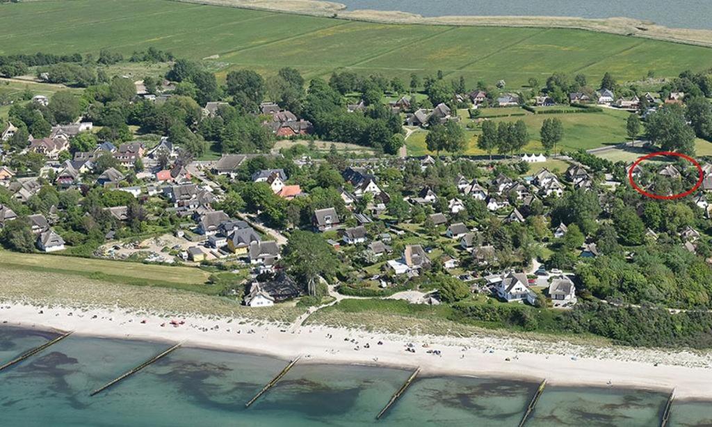 Sanddornhus