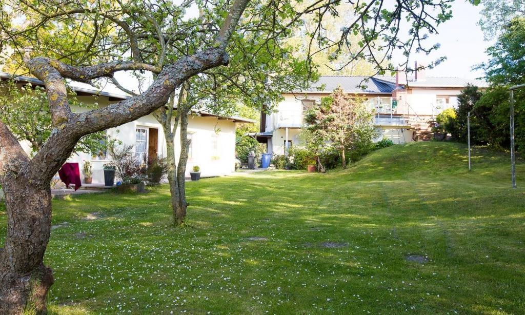 other