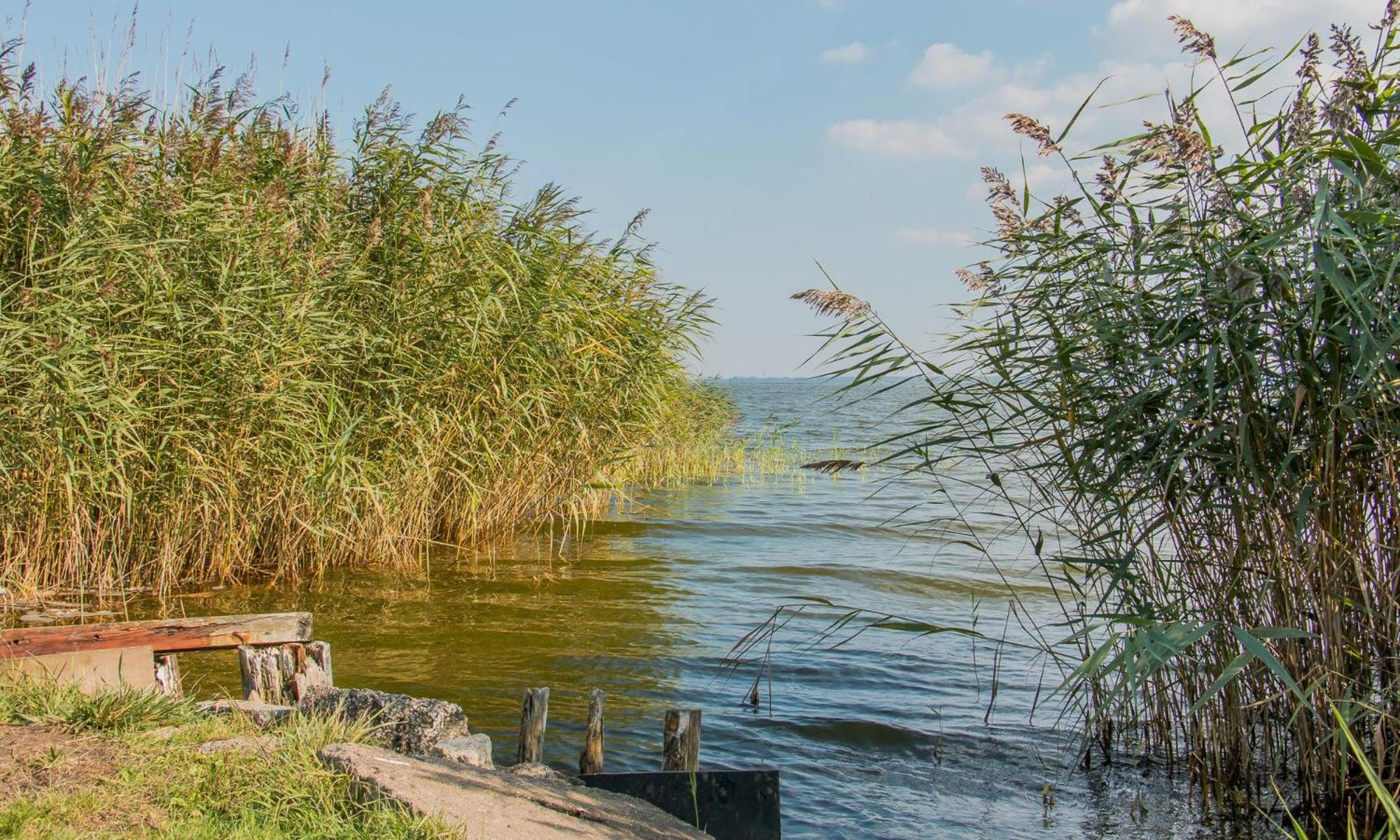 An der Boddenweide