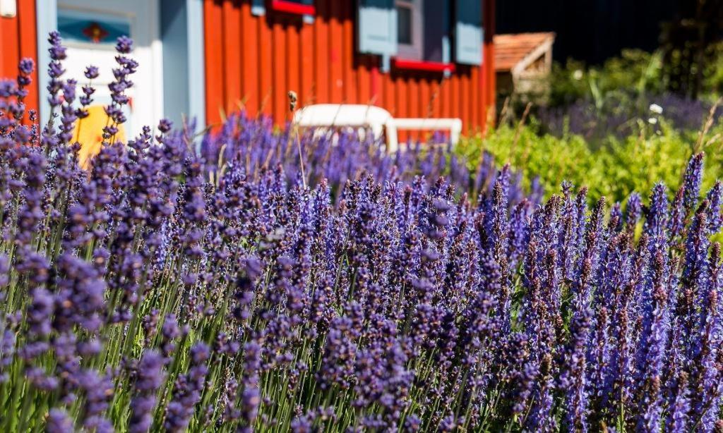 Klönhus