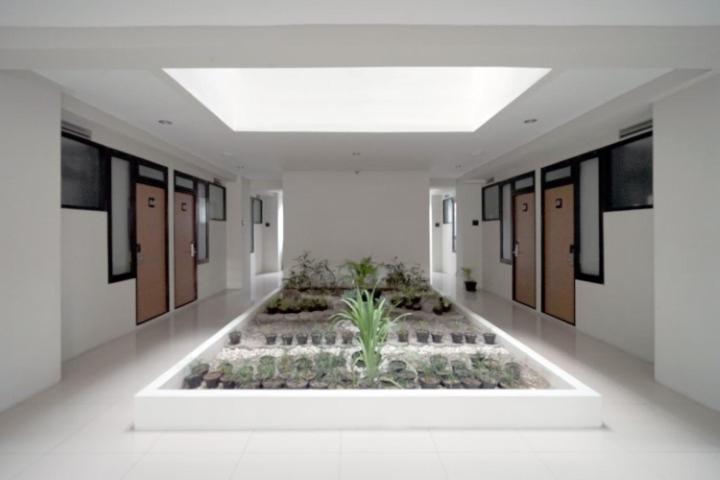 DPARAGON SUMBER