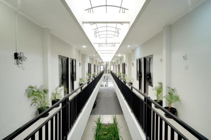 DPARAGON UPN