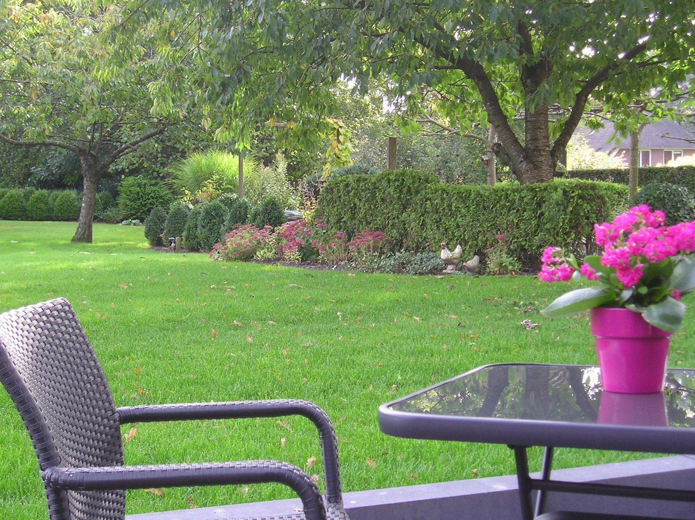 Photo 37