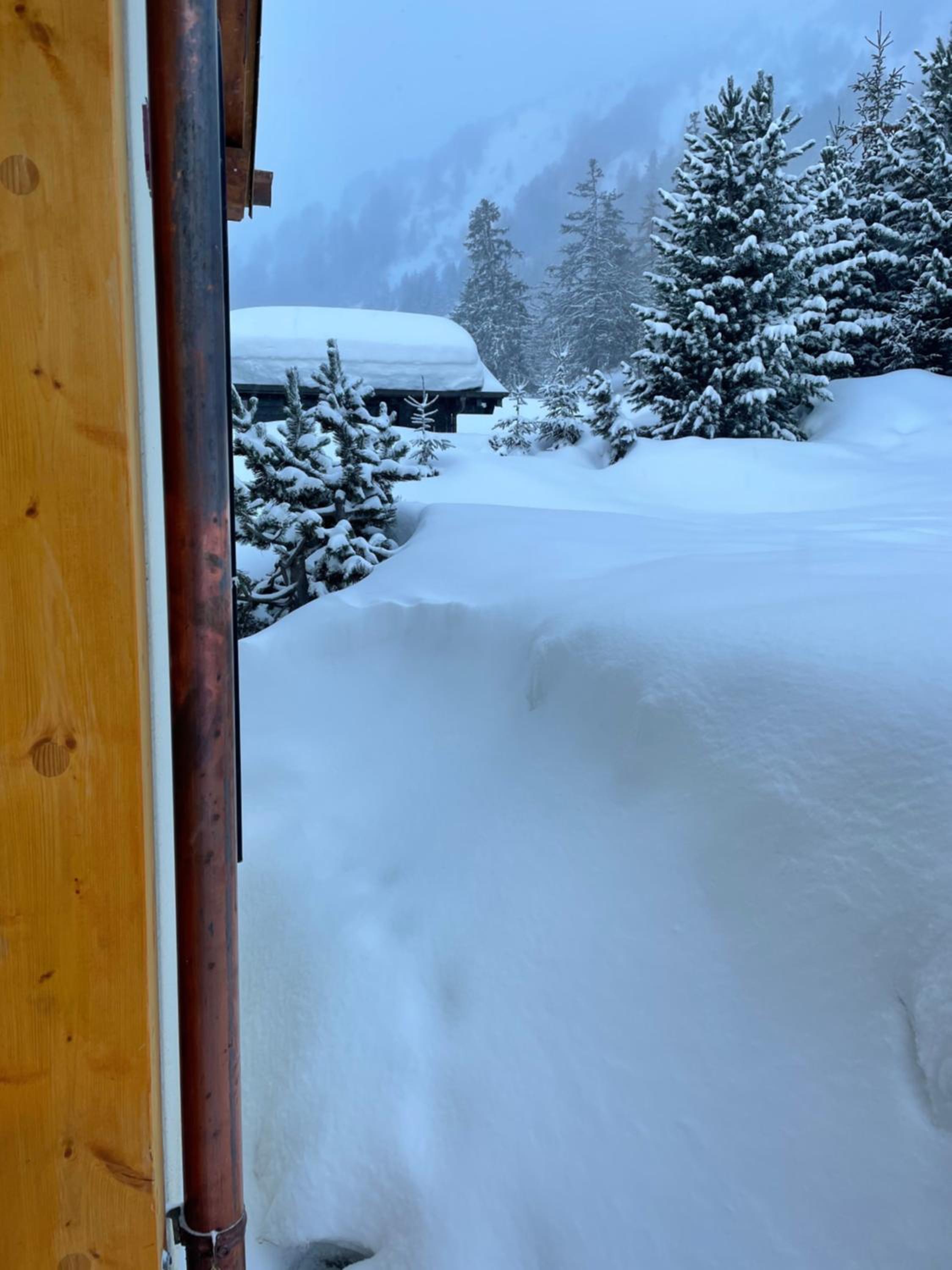 Chalet Michele Alpage