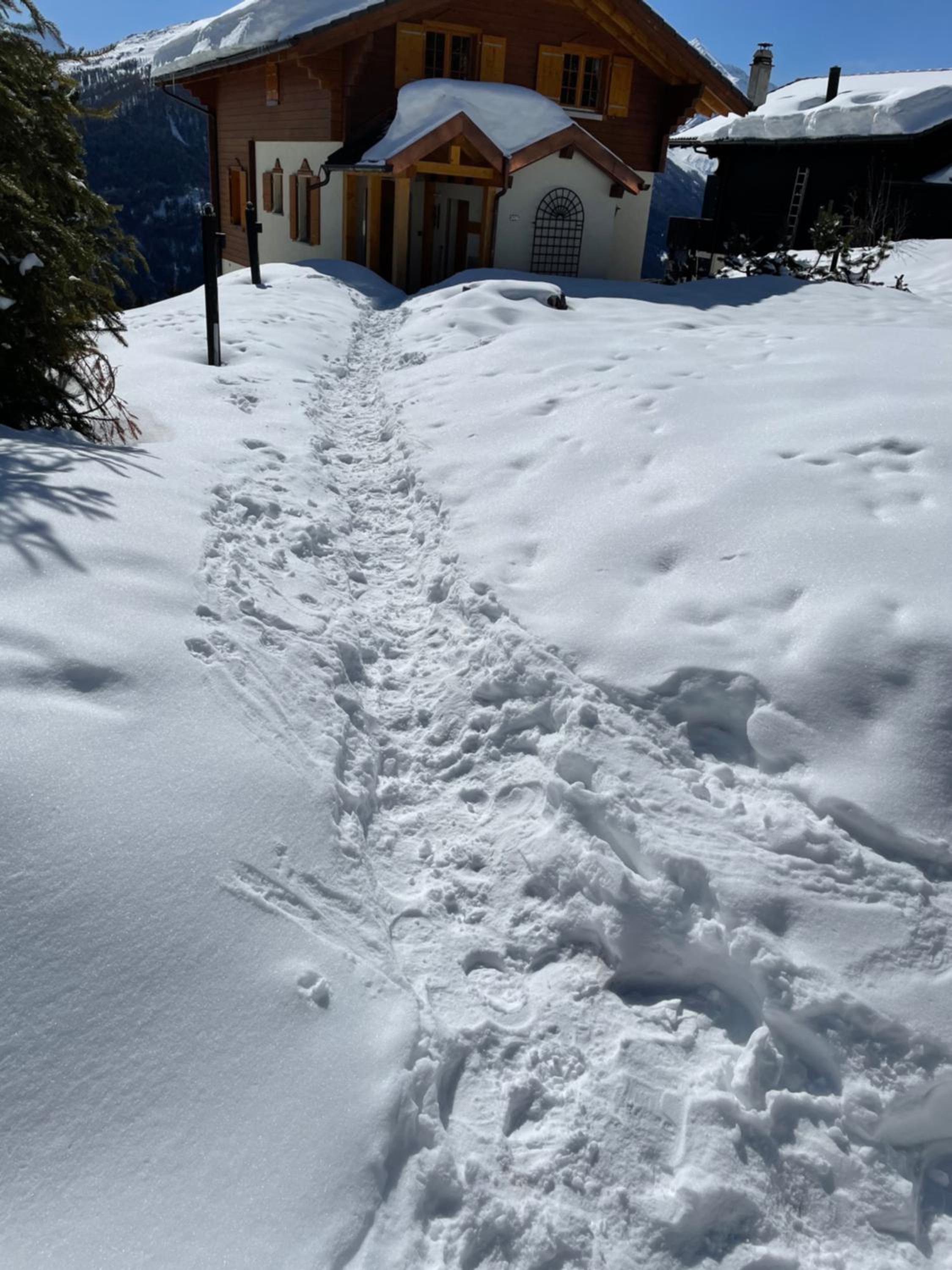 Chalet Michele Alpage