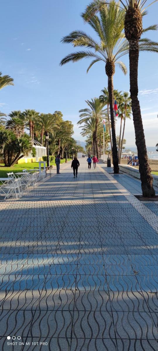 Nueva Marbella photo 4