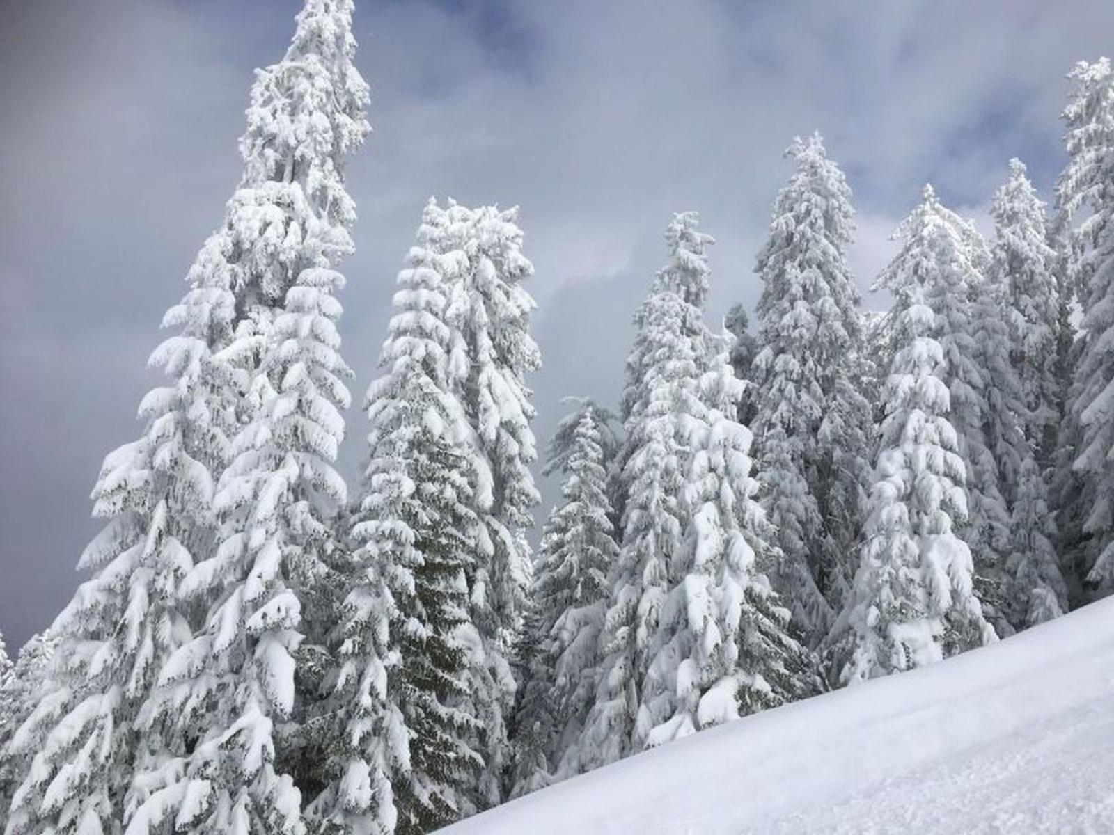 Schneckenhaus Dachstein West