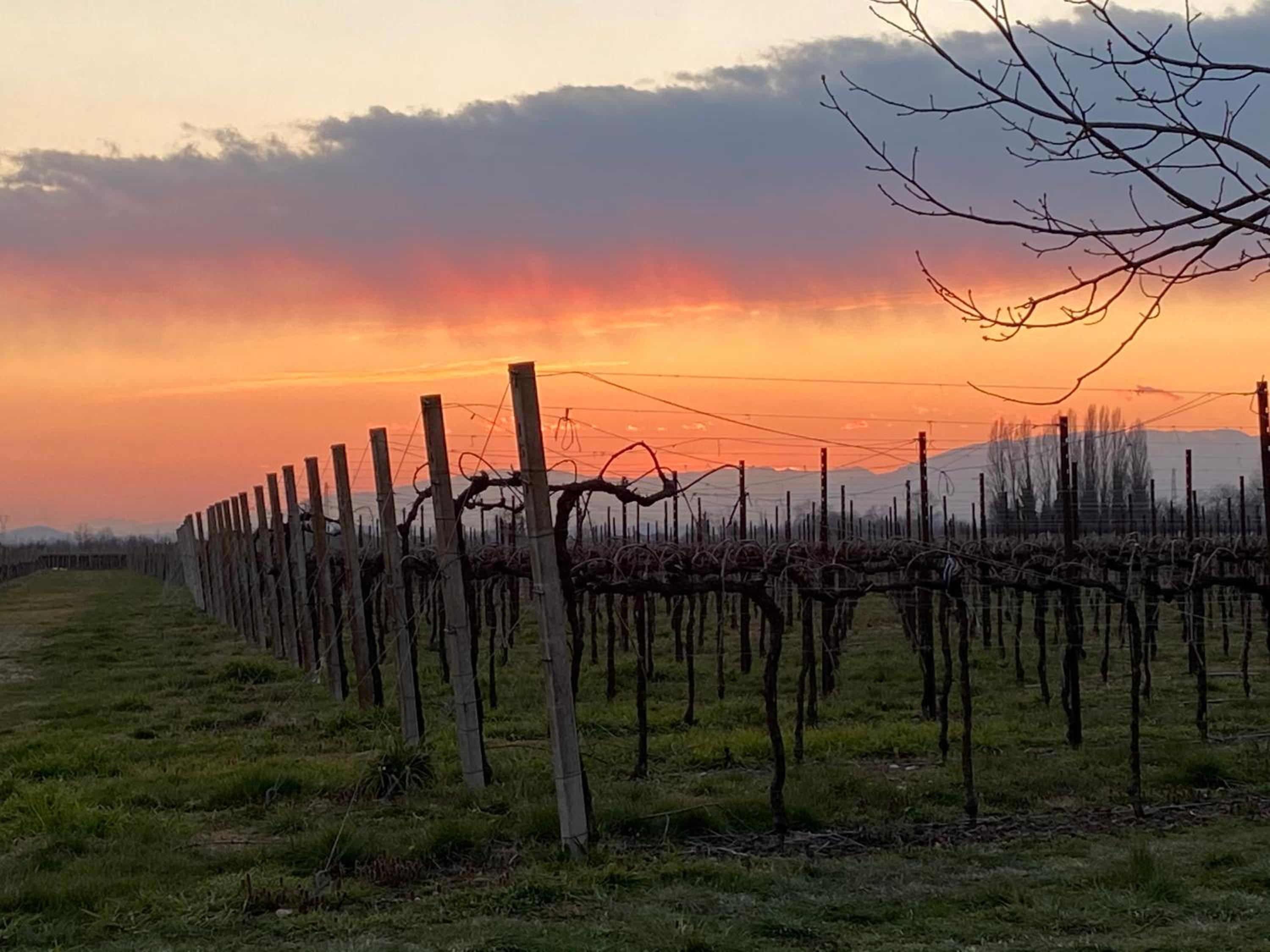 Agriturismo Richeton view 2