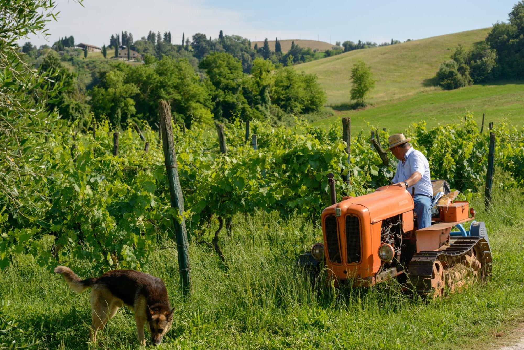 Agriturismo Pretenzano