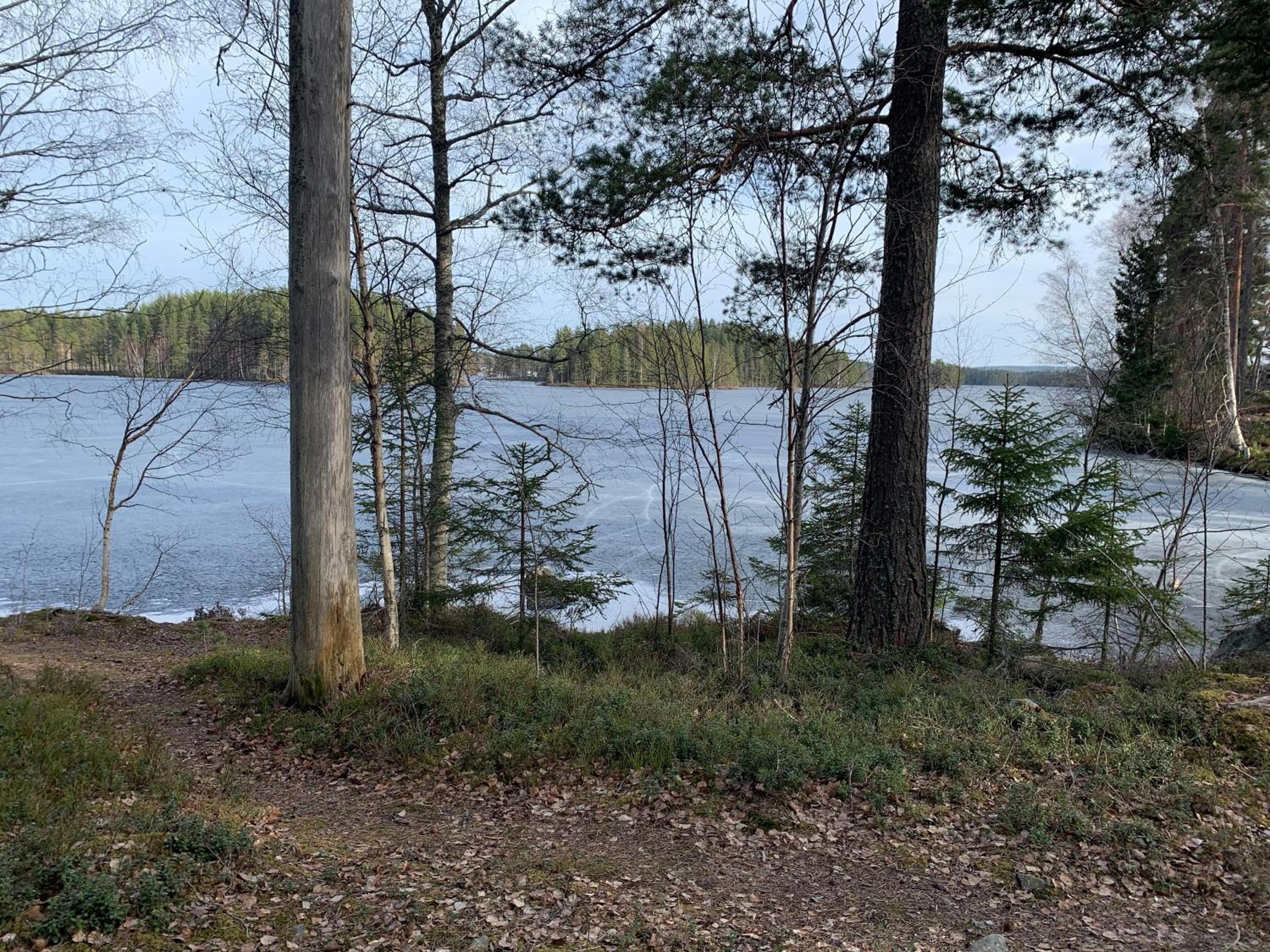 Photo 20