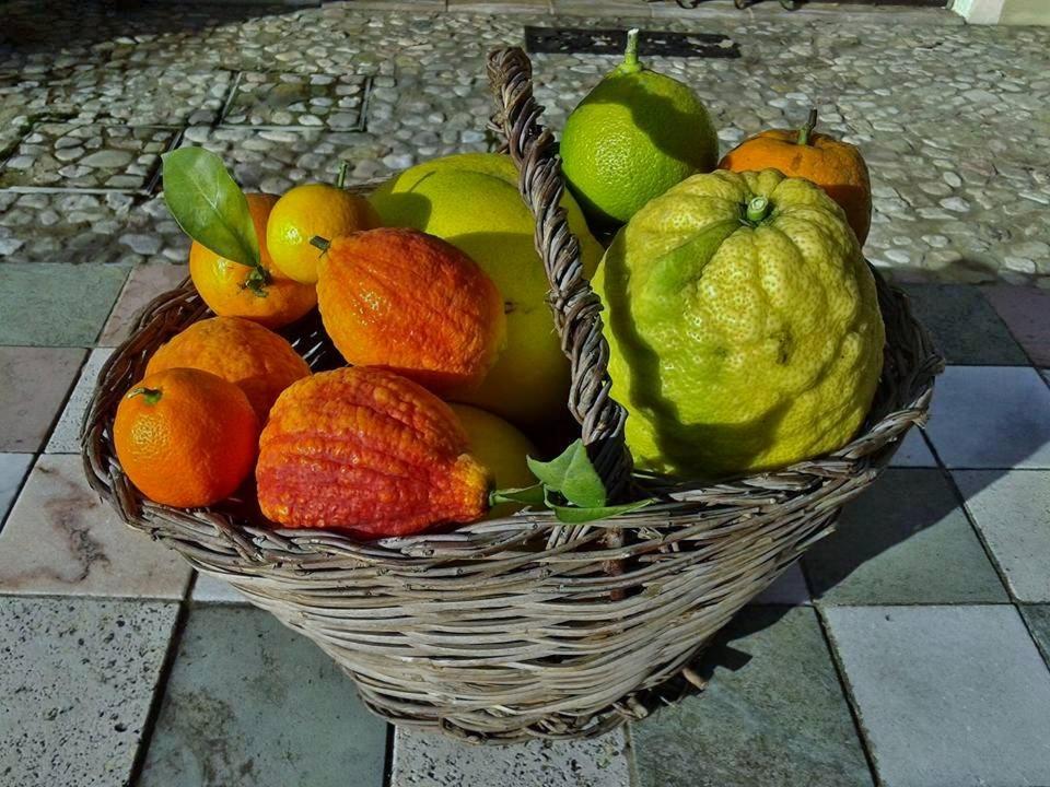 B&B and Wellness Il Pomario di Montepiglio Resort Naturista