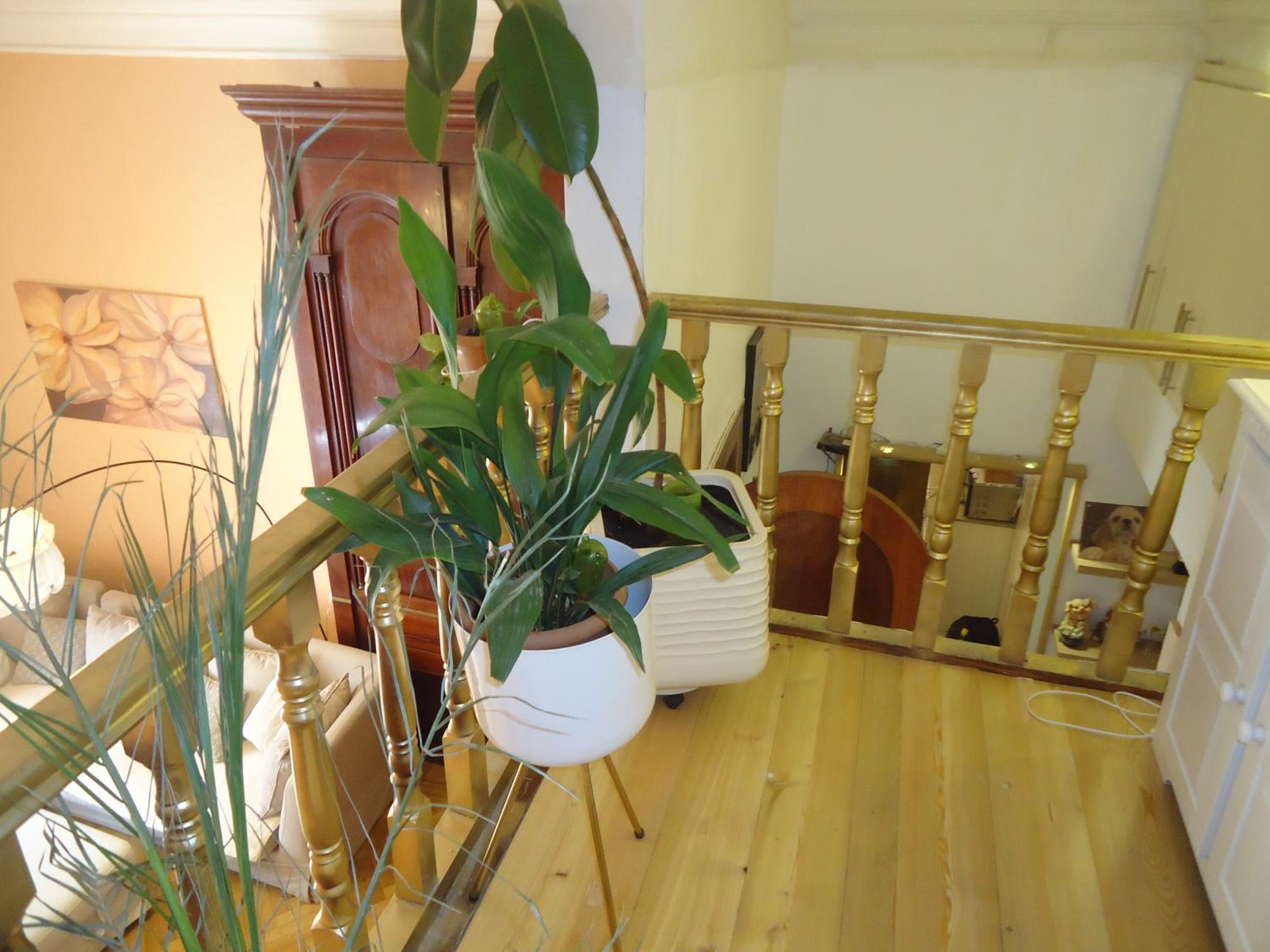 Apartment Jafa