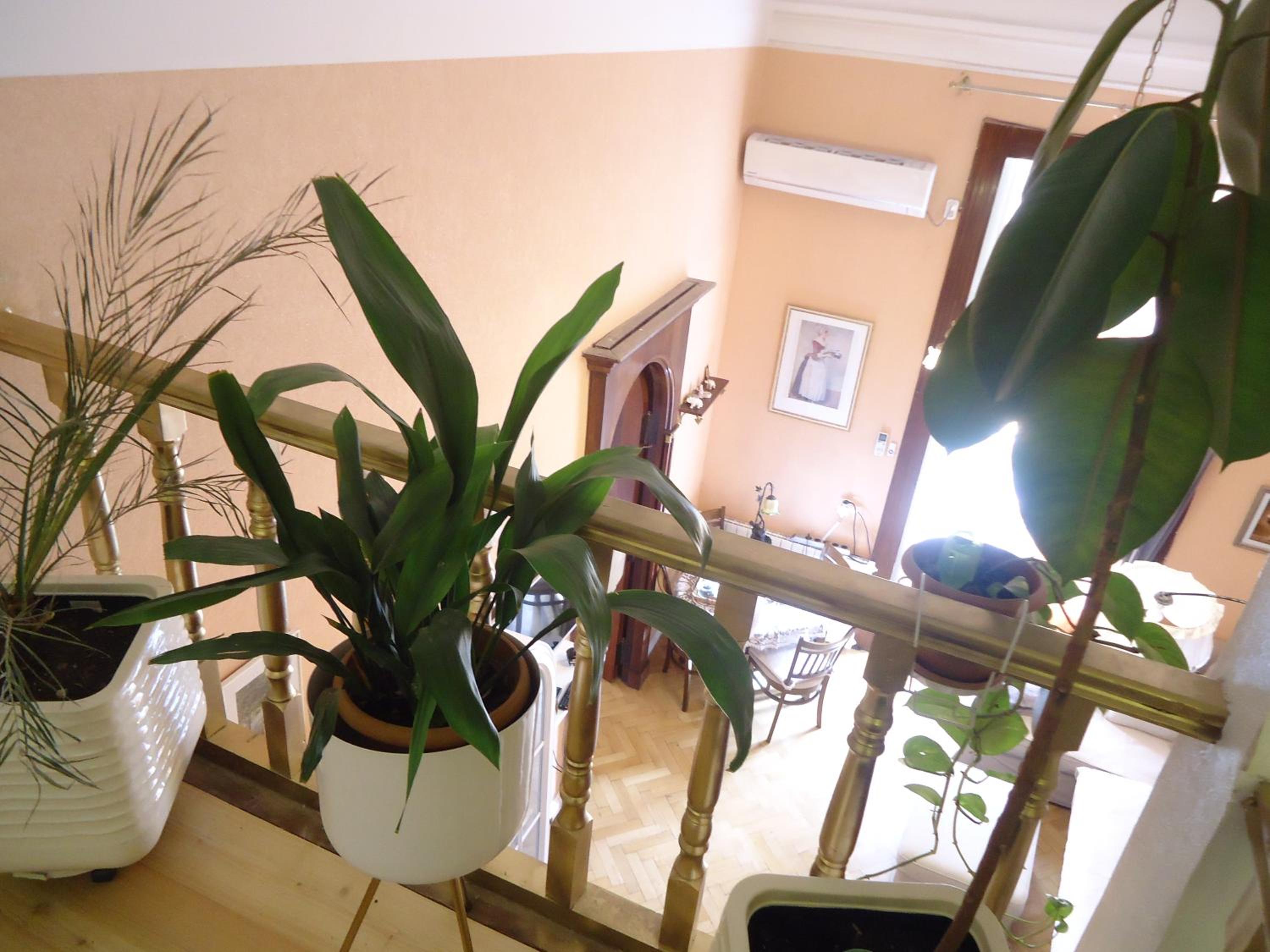 Apartment Jafa