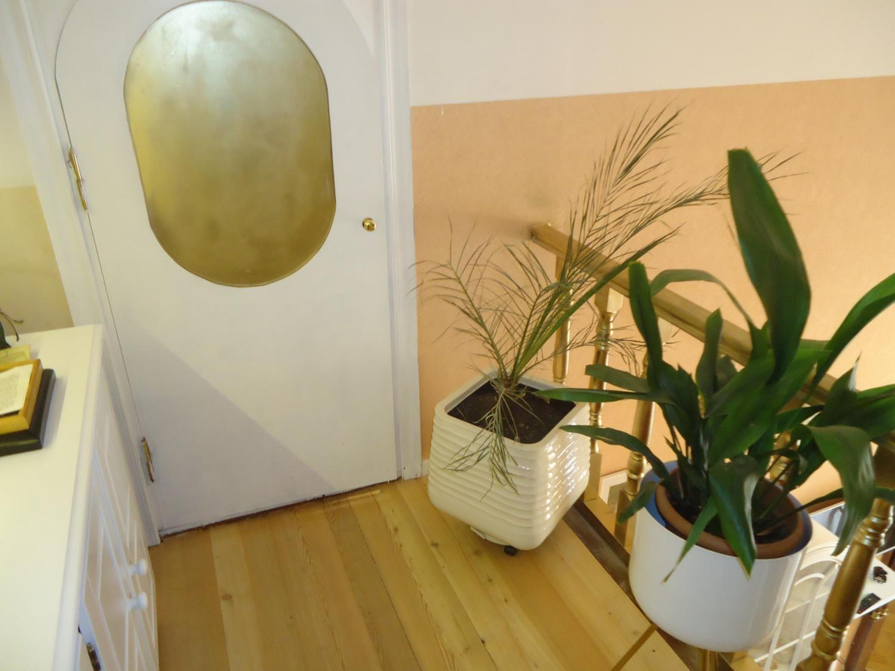 Apartment Jafa