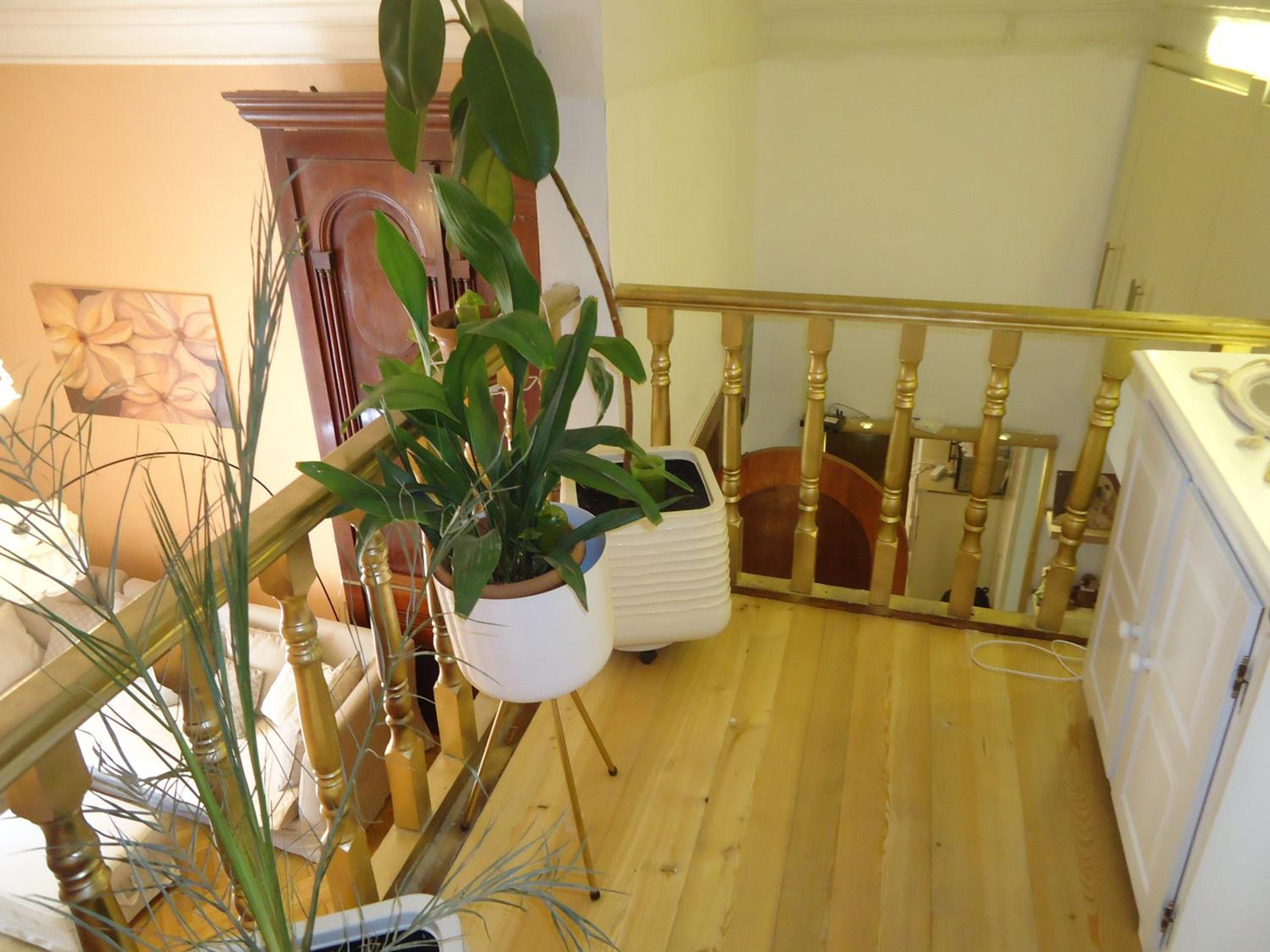 Apartment Jafa
