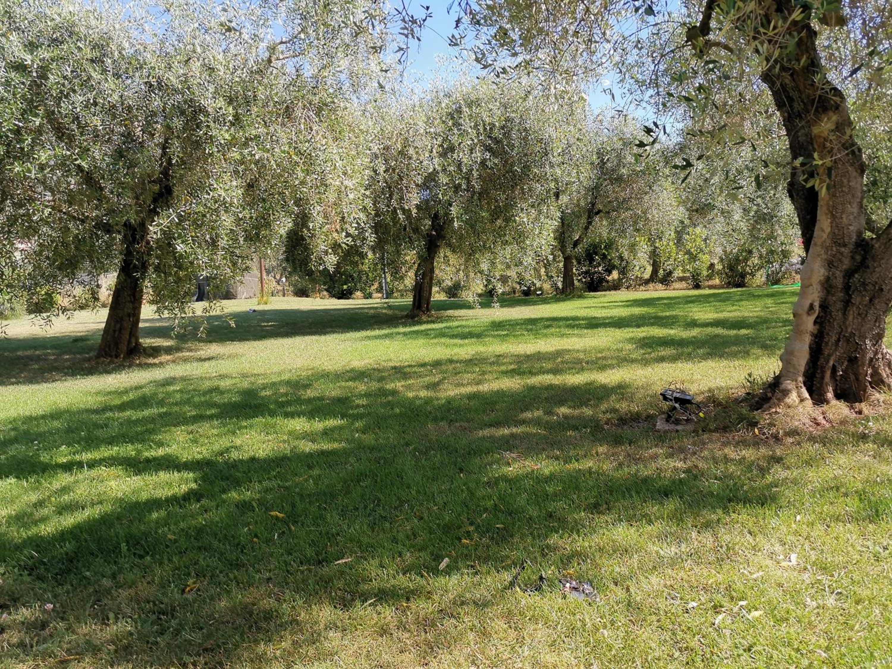 Photo 40