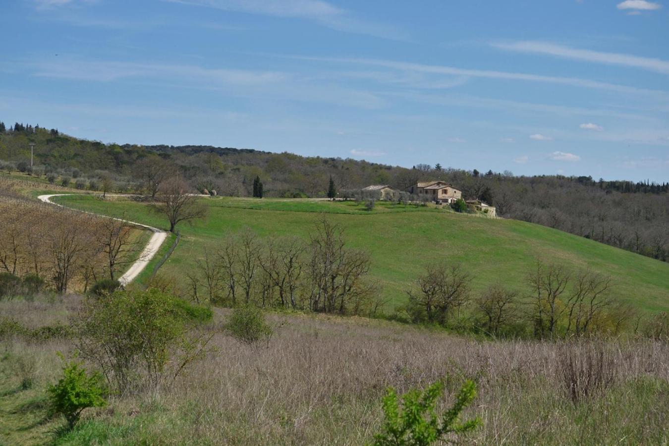 Casalgallo