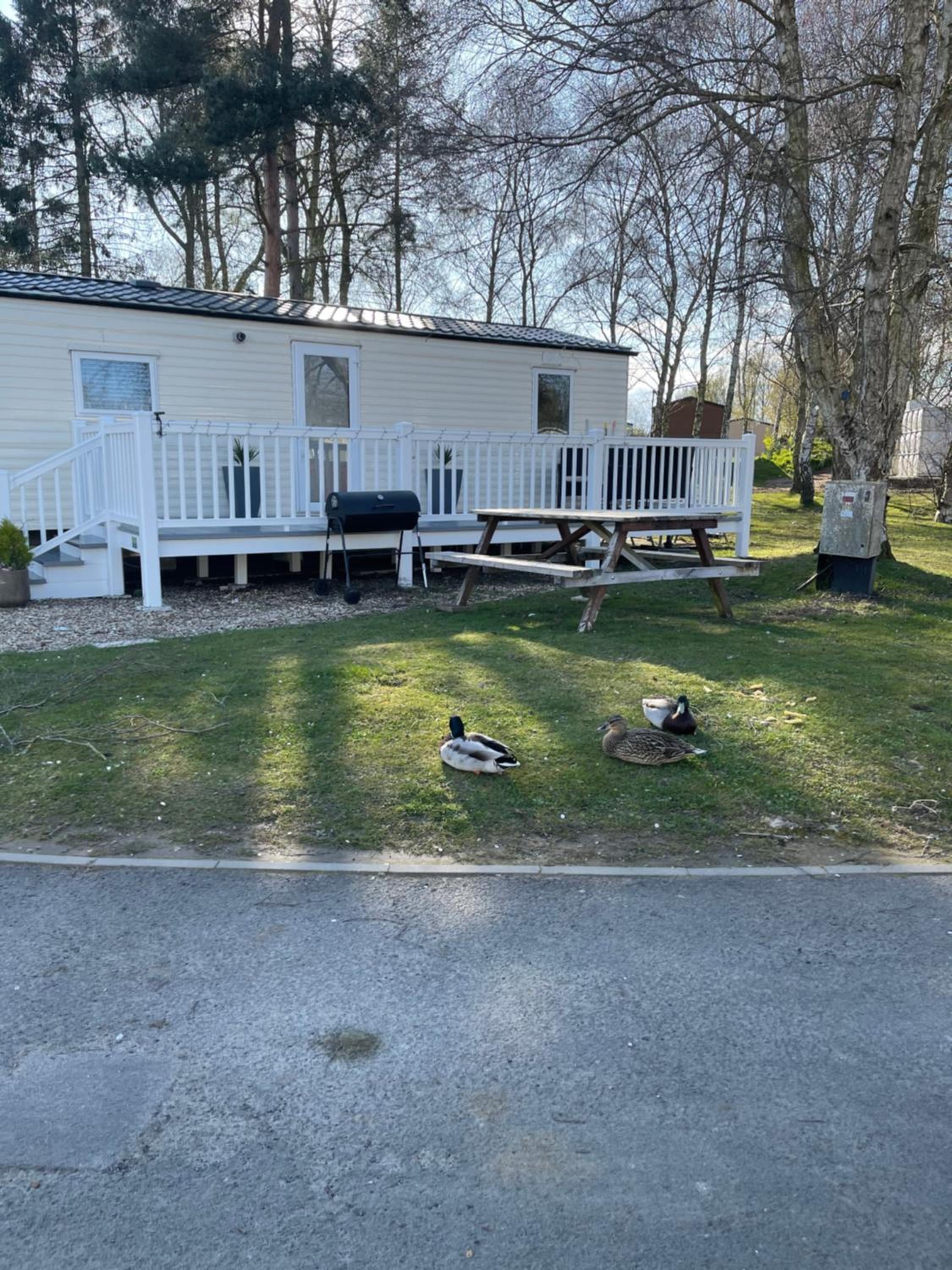 Holiday Home Breaks At Tattershall Lakes view 4