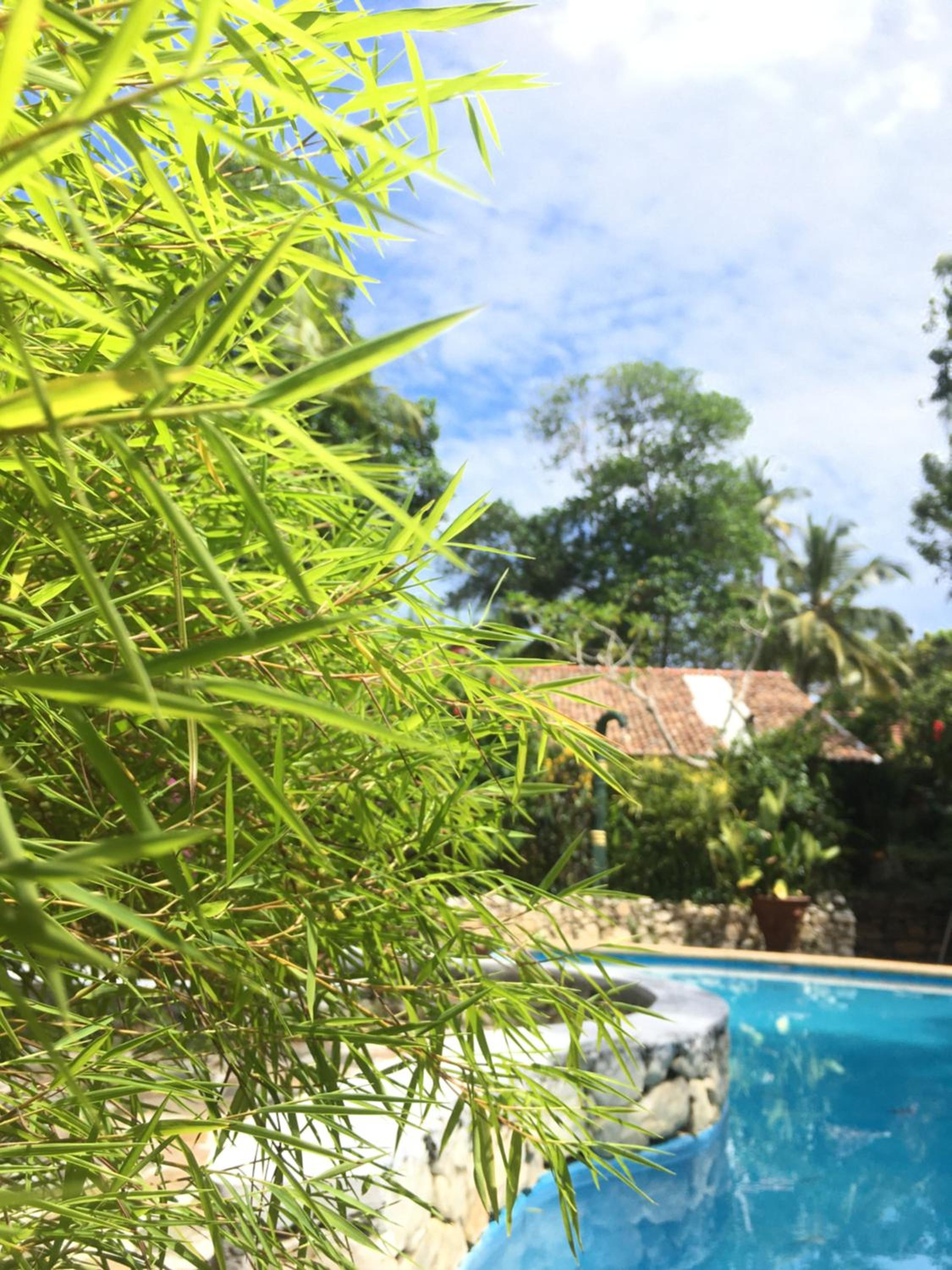 Whispering House