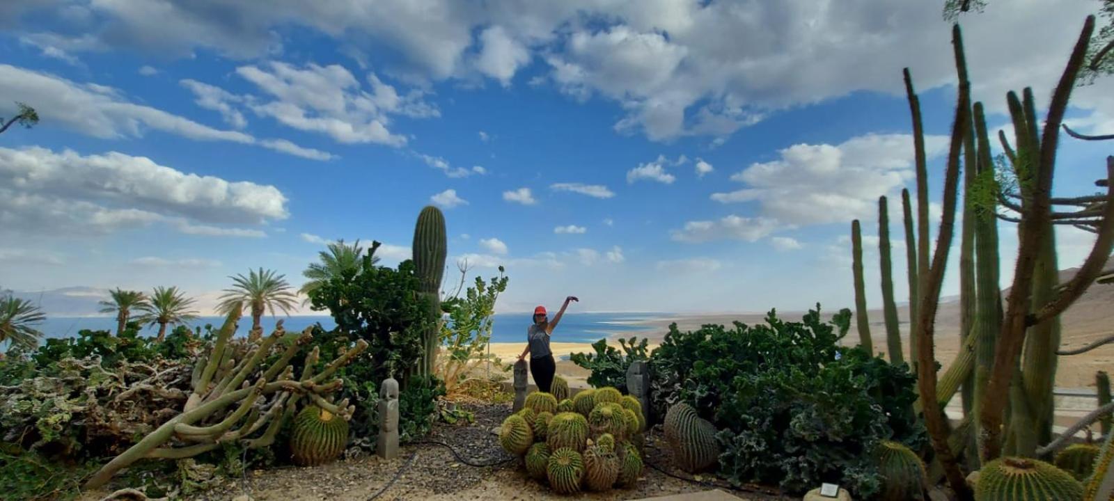 Aloni - Guest house Dead Sea