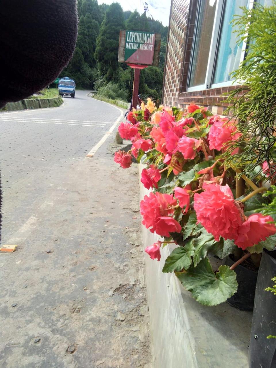 Photo 31