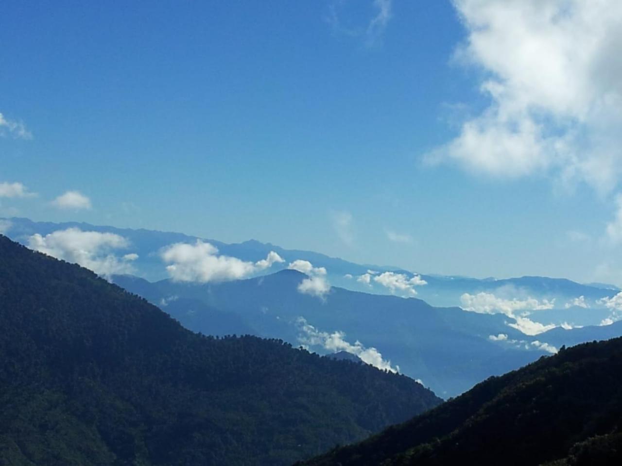 Salakha Homestay view 5