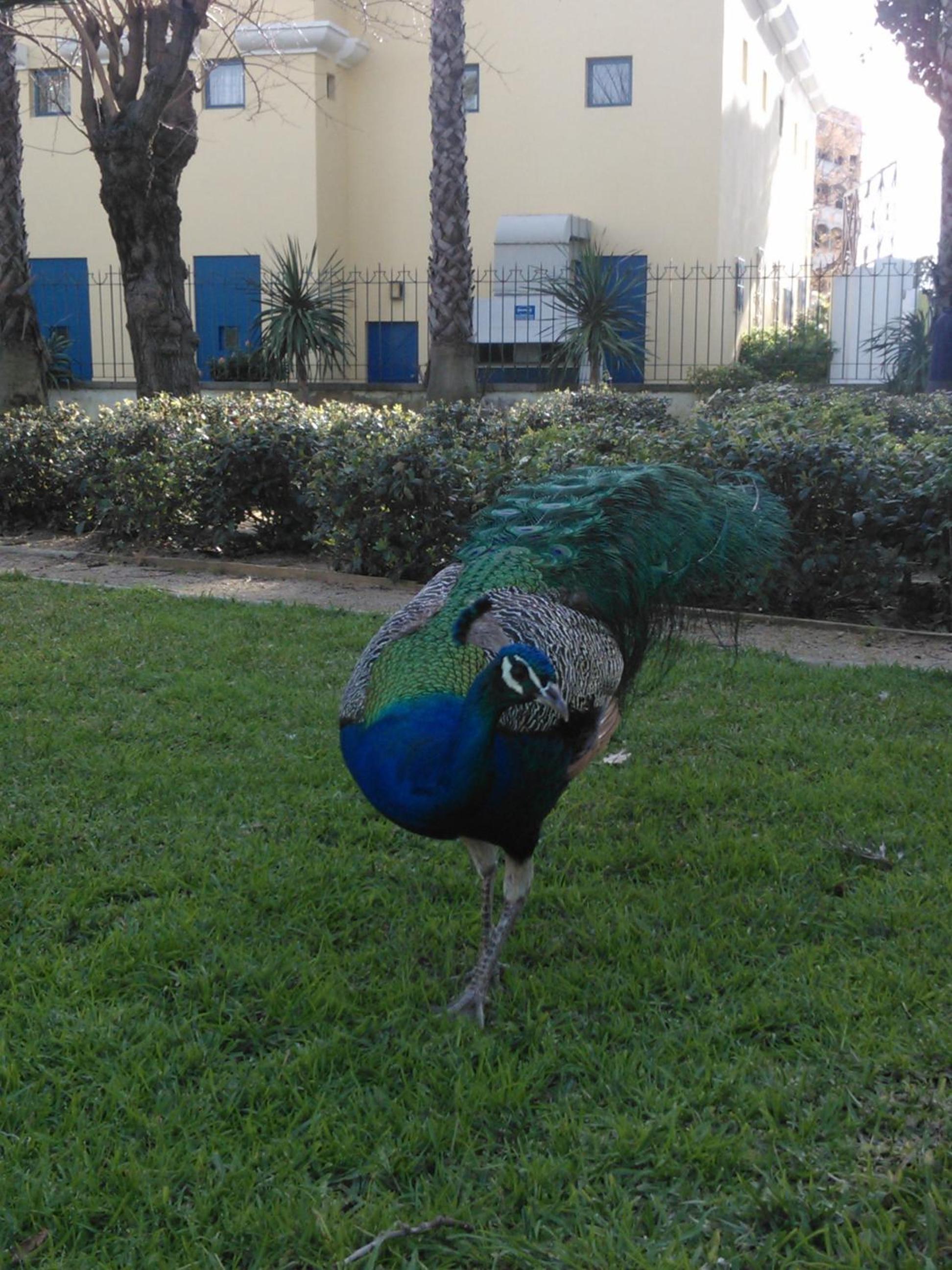 Guest House Capitao Mor