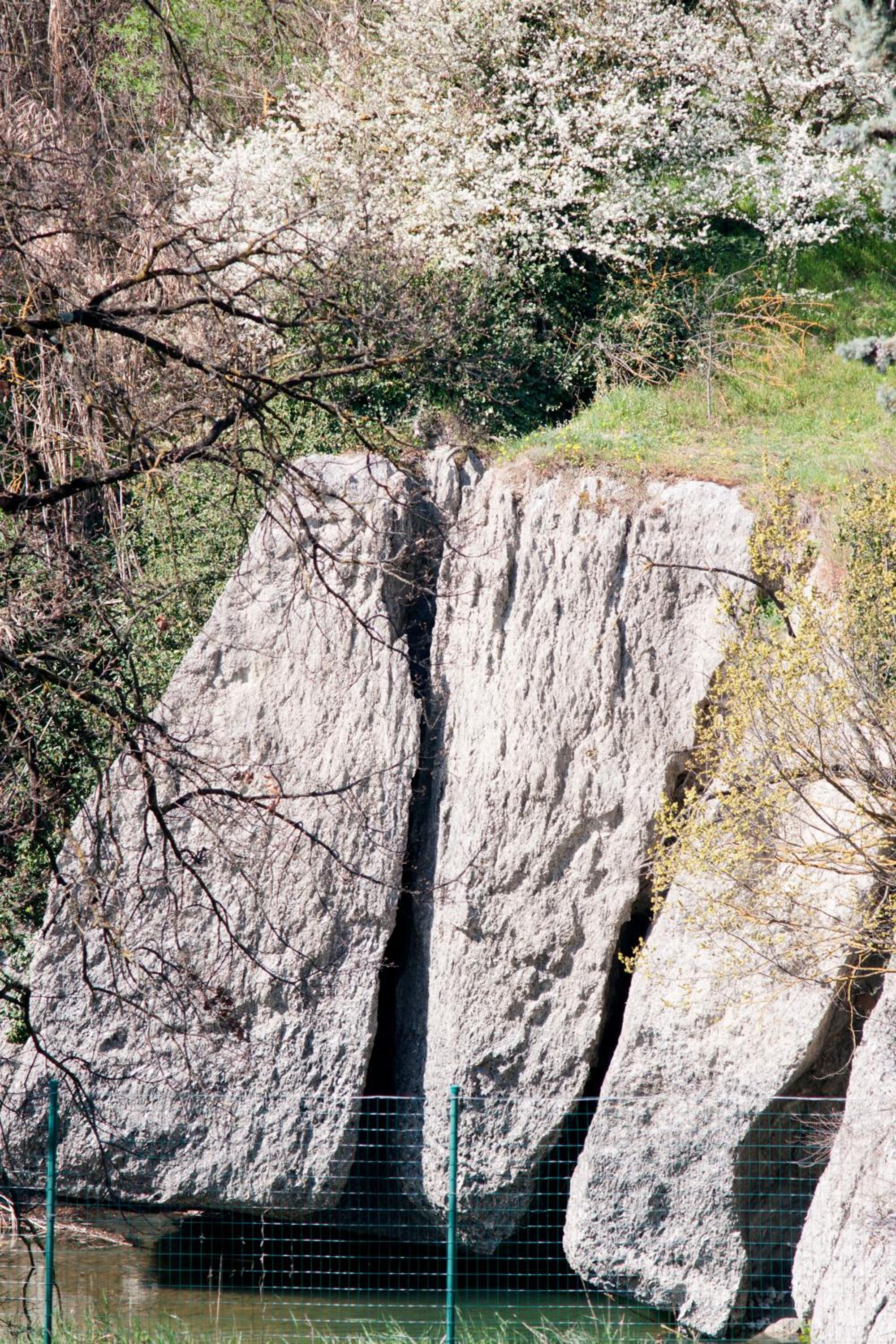 Photo 45