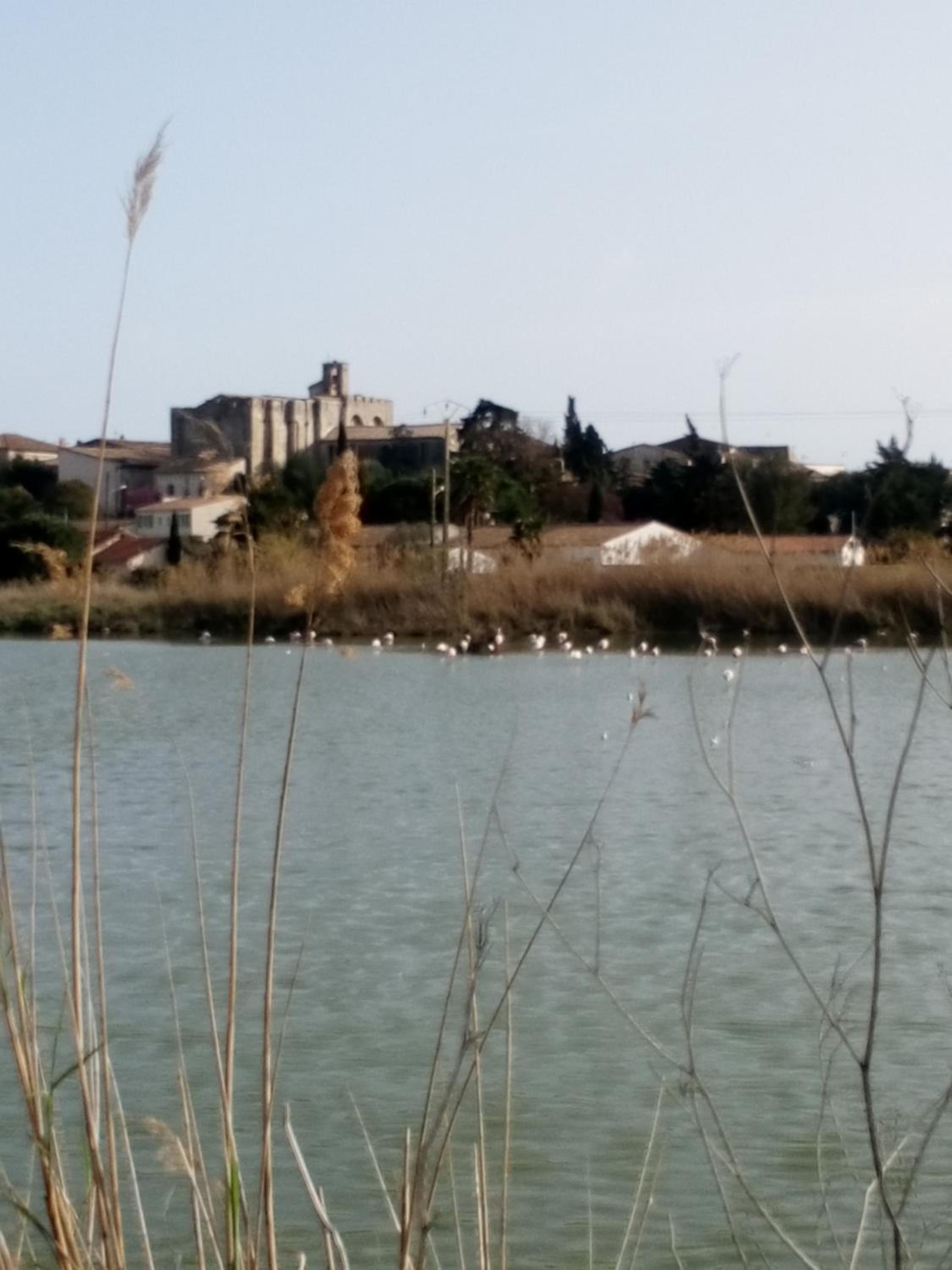 Photo 14