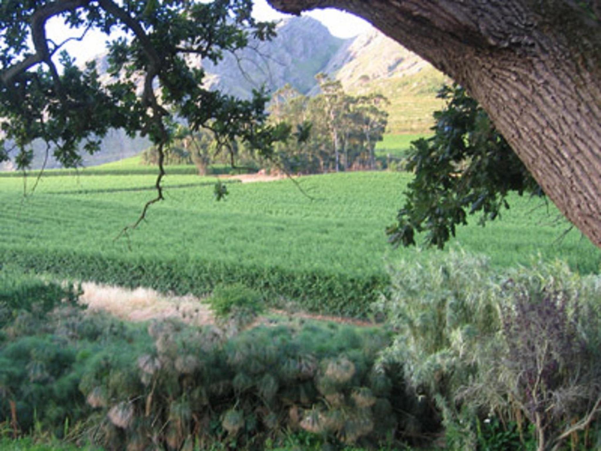 Photo 46