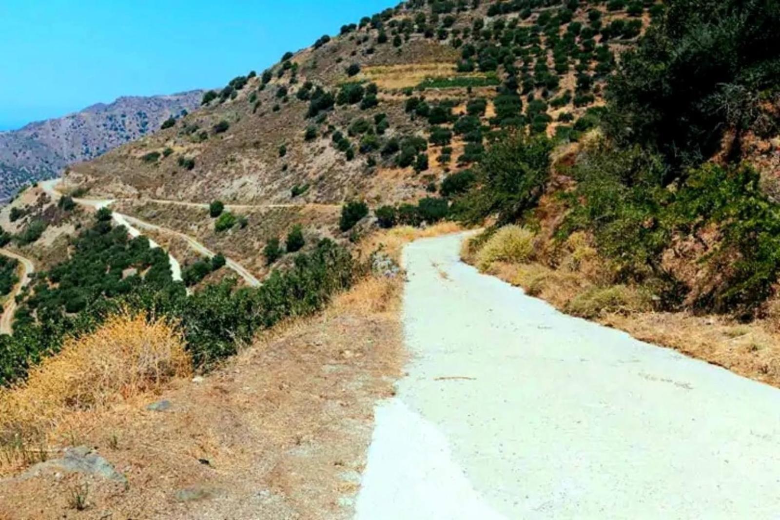 Epavlis