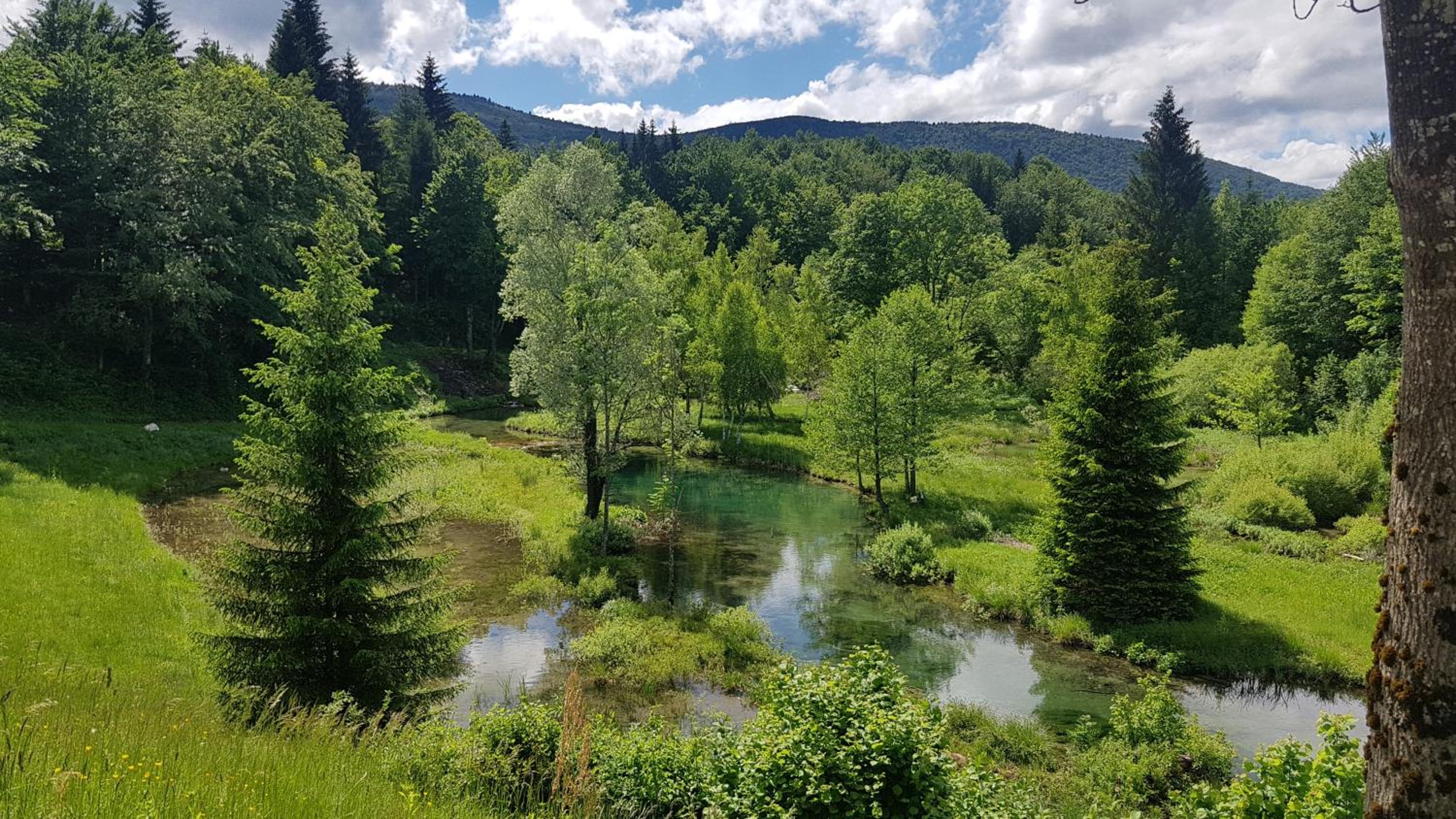 B&B Plitvice Lakes Villa Prica