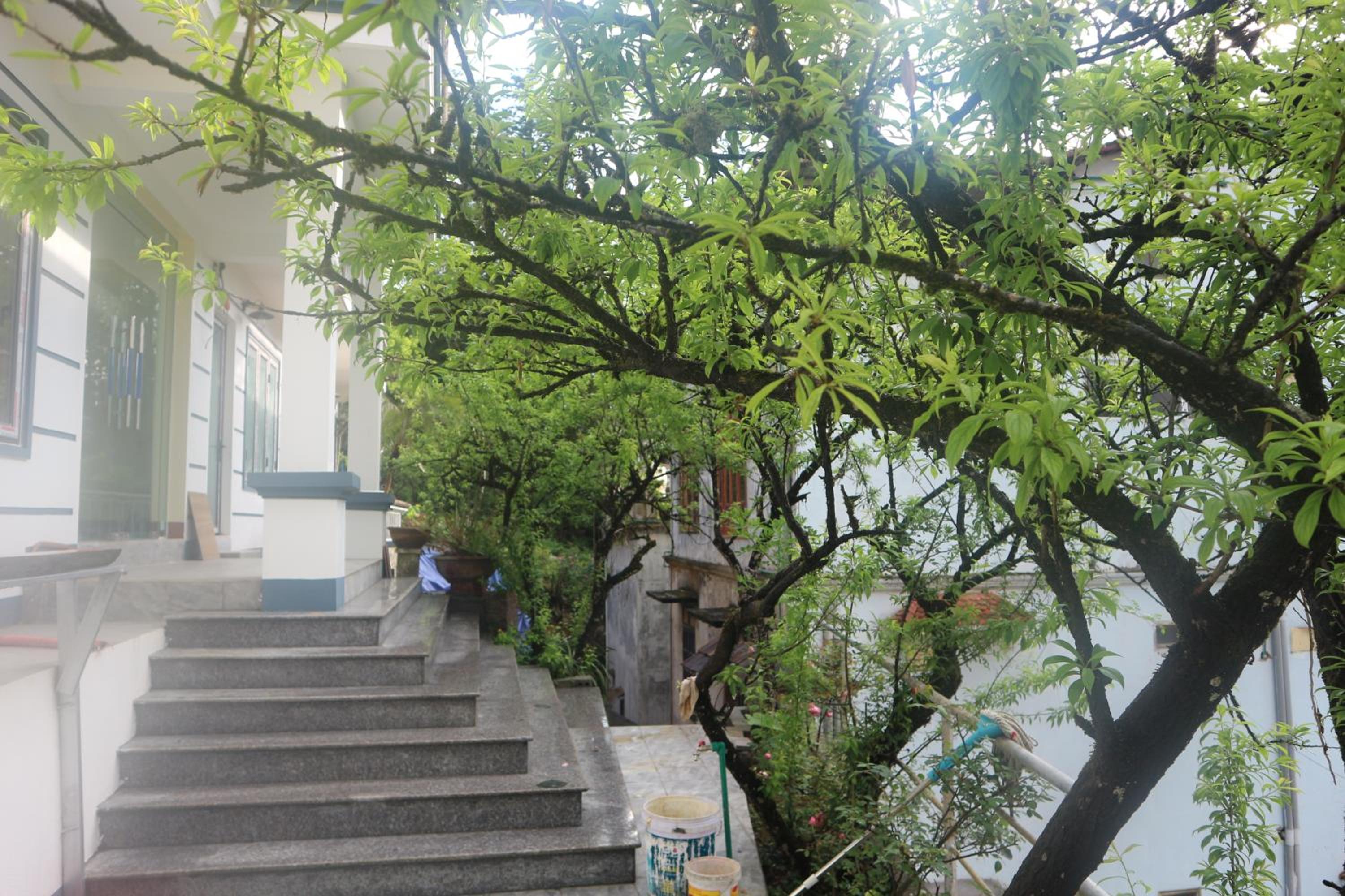 Mây Núi Homestay