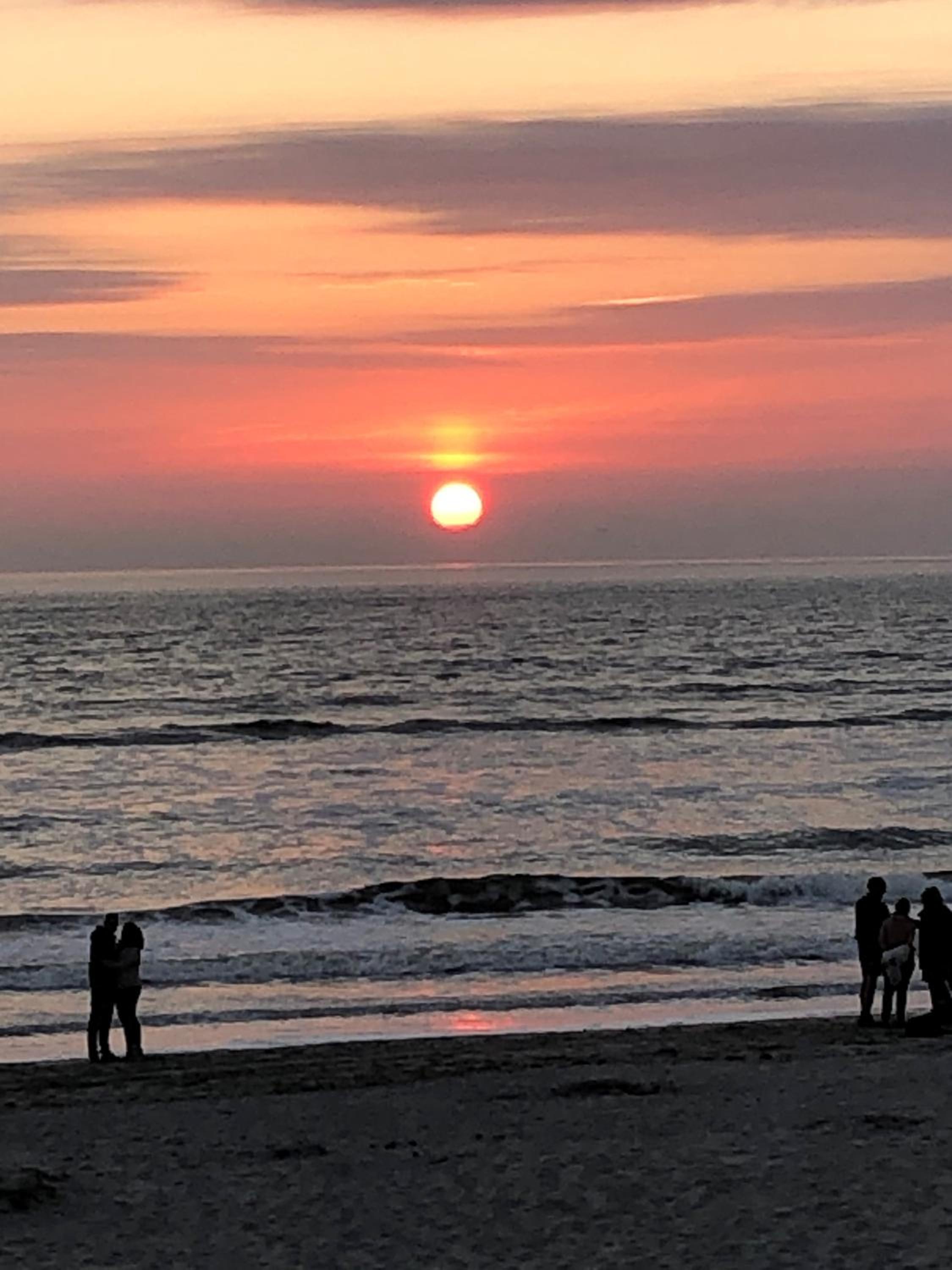 Appartement 98 - Wadloper, Resort Amelander Kaap! view 4