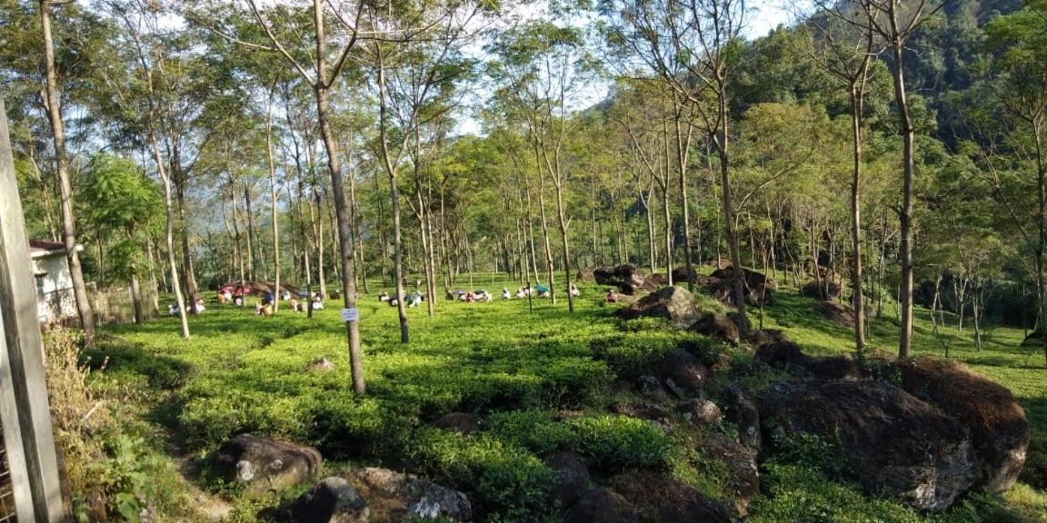 Poomong Homestay view 2