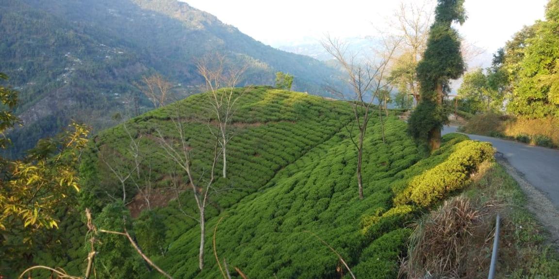 Poomong Homestay view 3