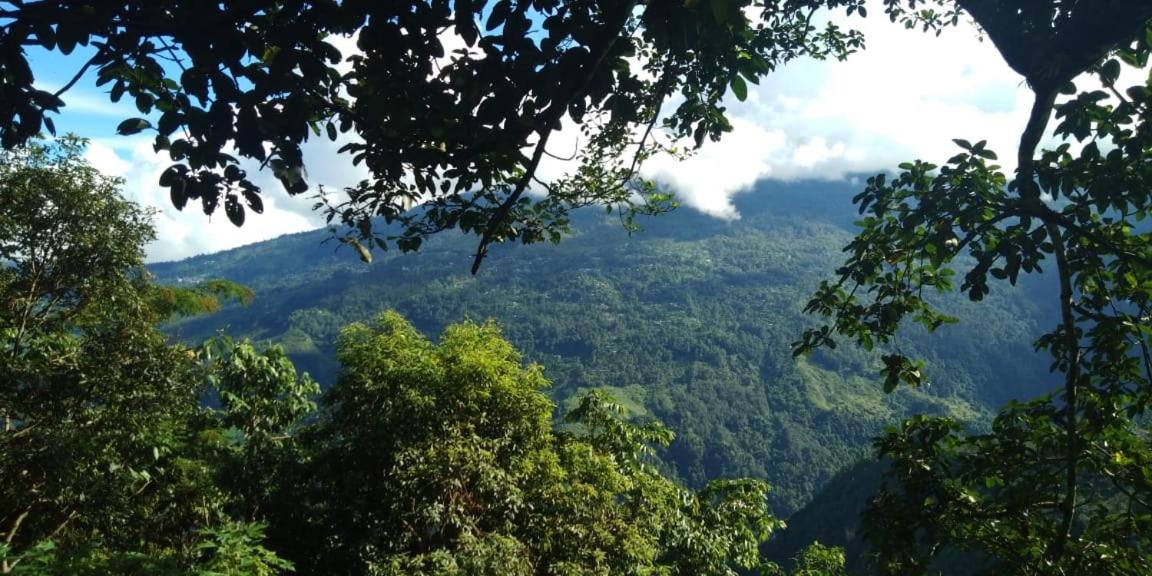 Poomong Homestay view 4