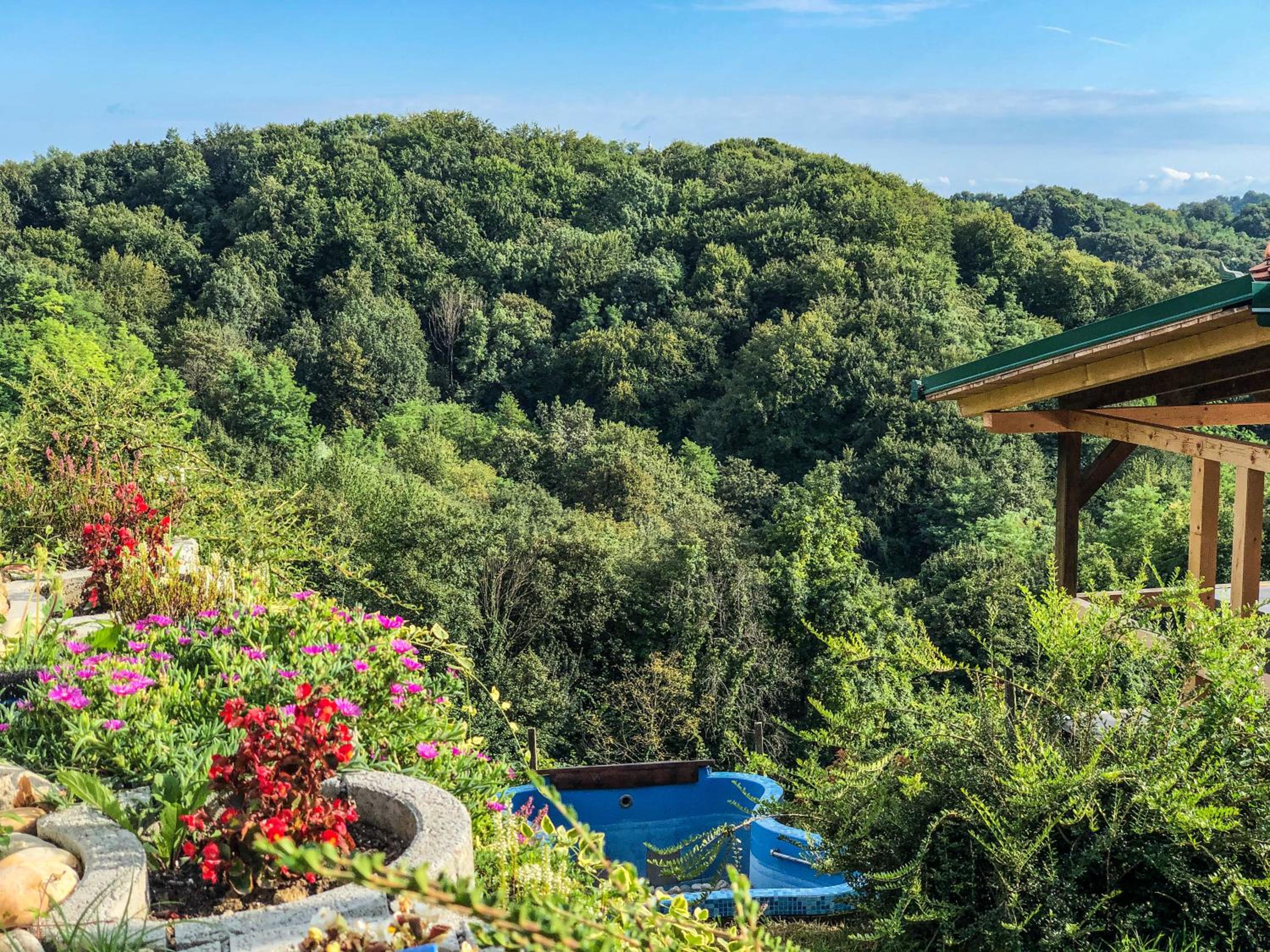 Green Paradise