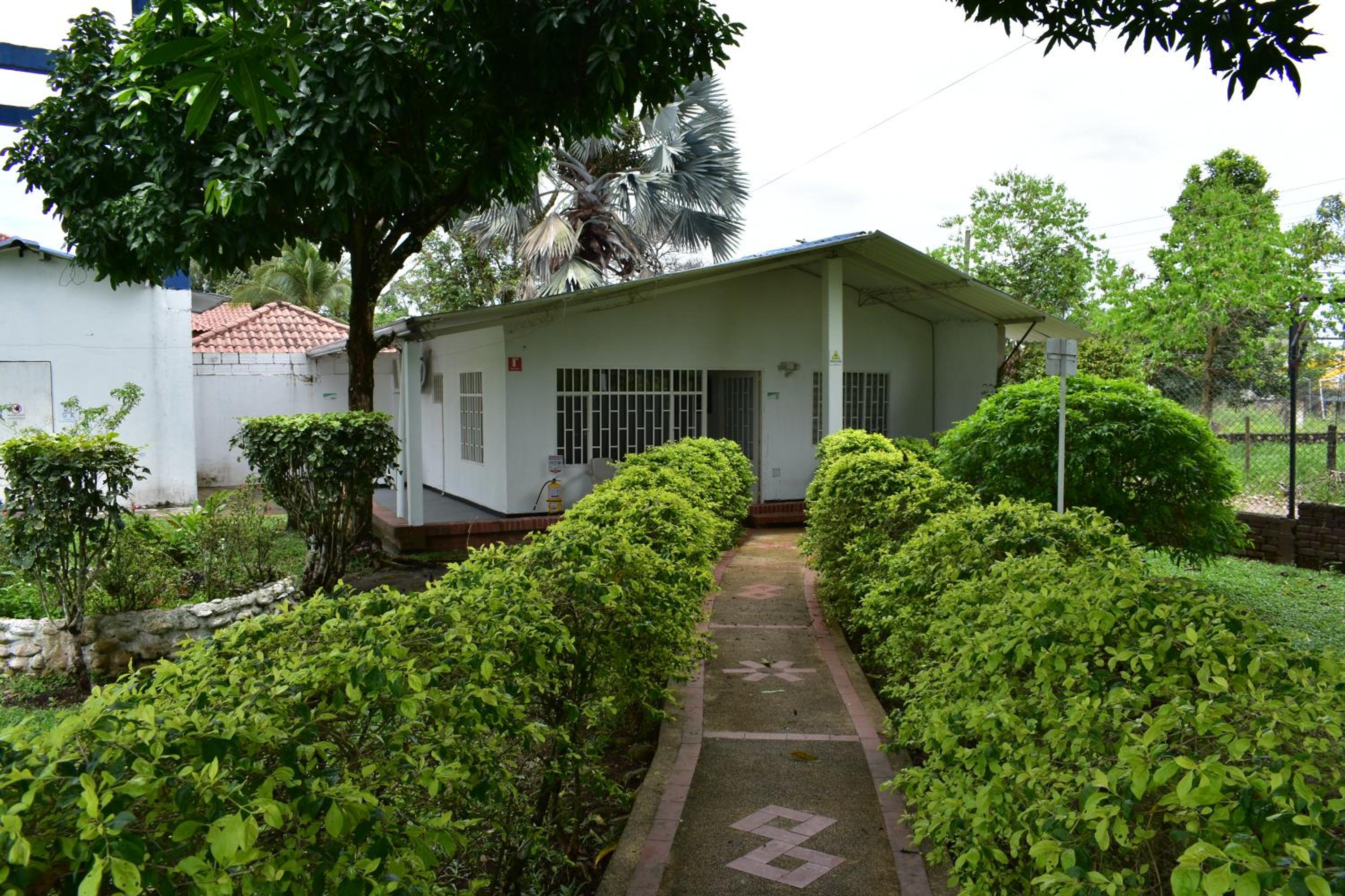 garden