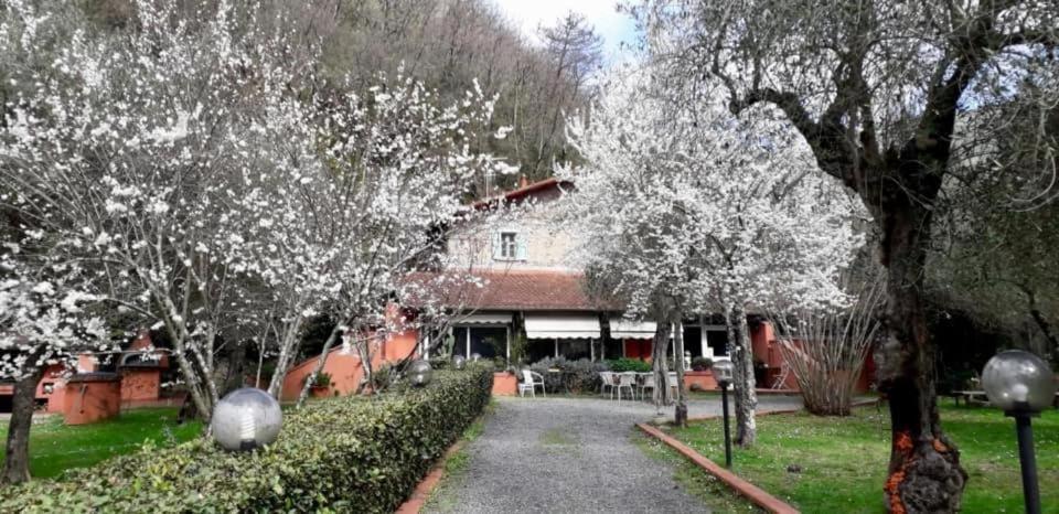 Gli Ulivi Bed & breakfast